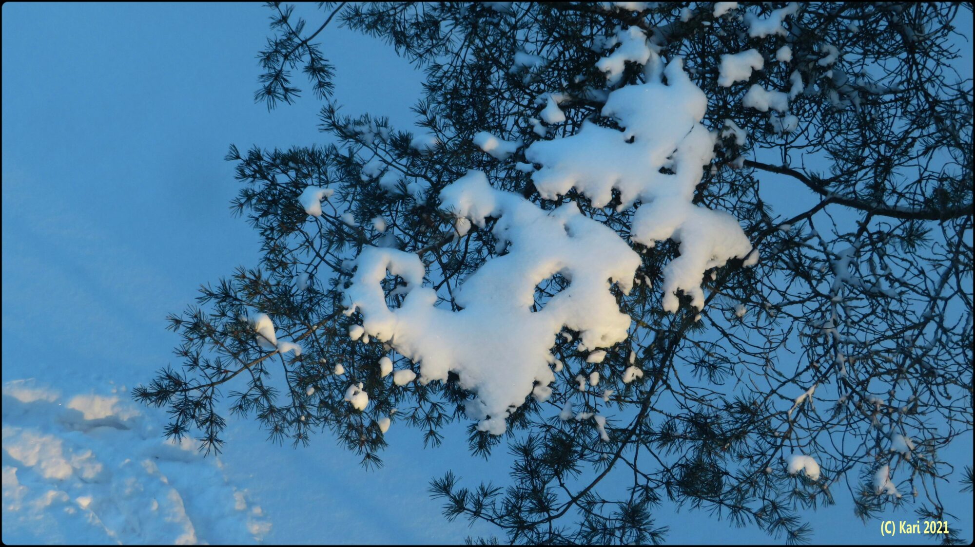 Valokuvaaja: Kari Saarinen