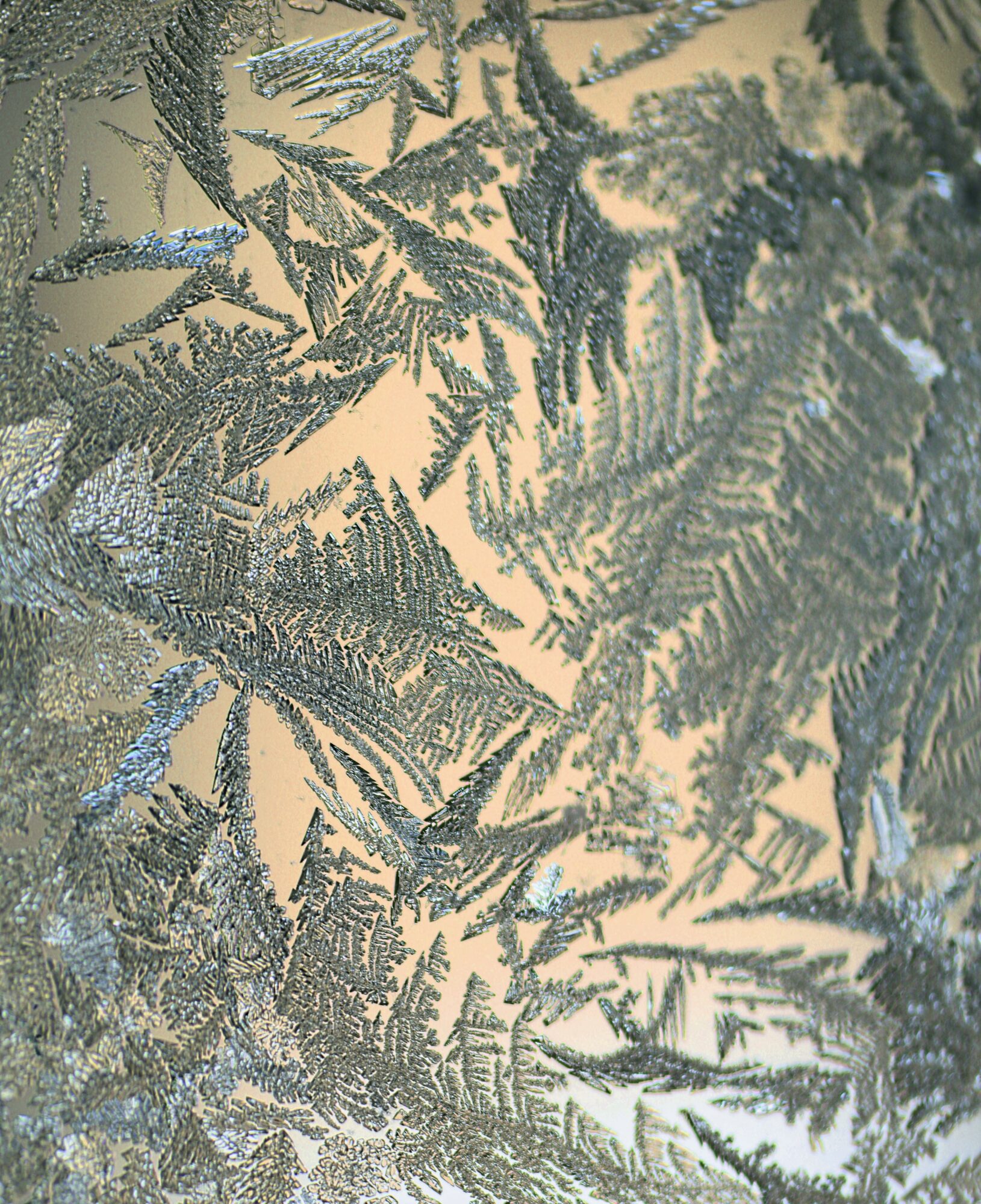 Valokuvaaja: Ritva Nieminen