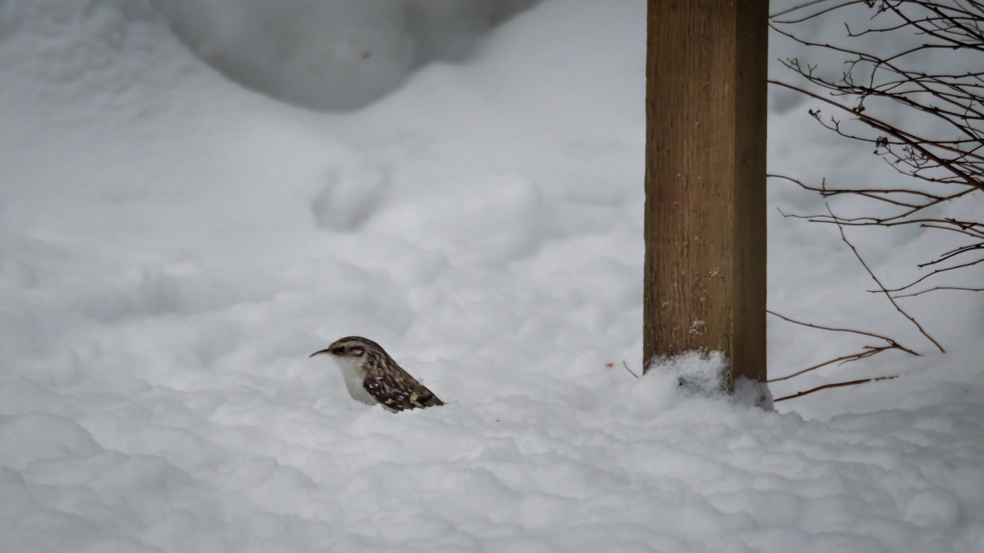 Valokuvaaja: Aki Jalava