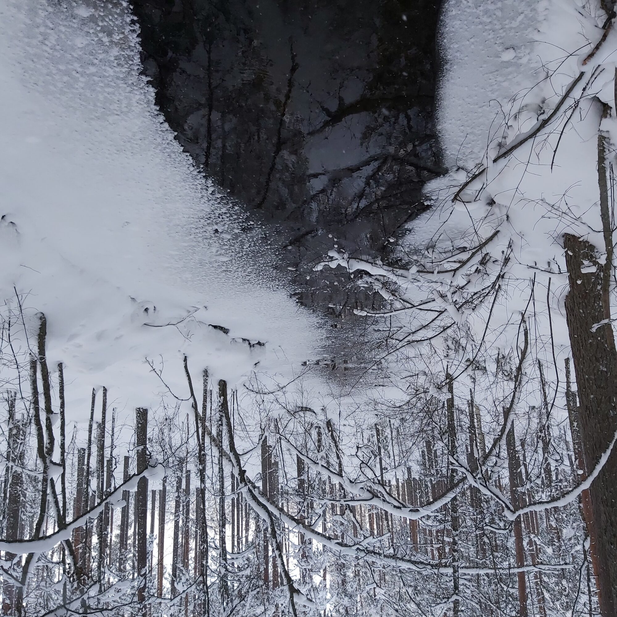 Valokuvaaja: Kaisa Marila