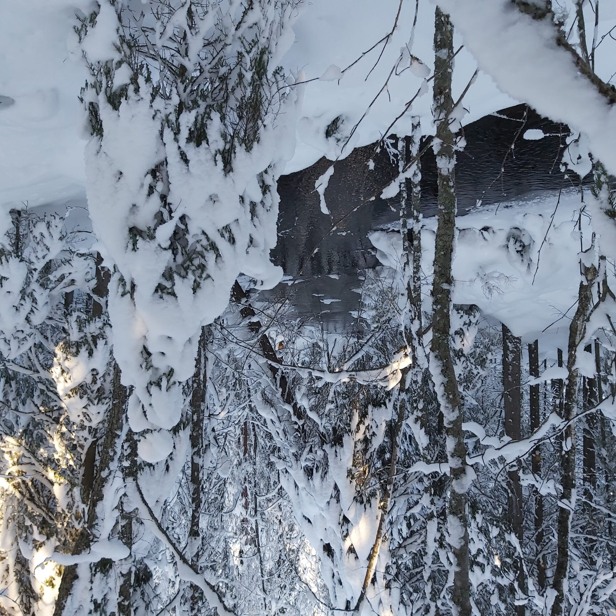 Valokuvaaja: Kaisa Marila