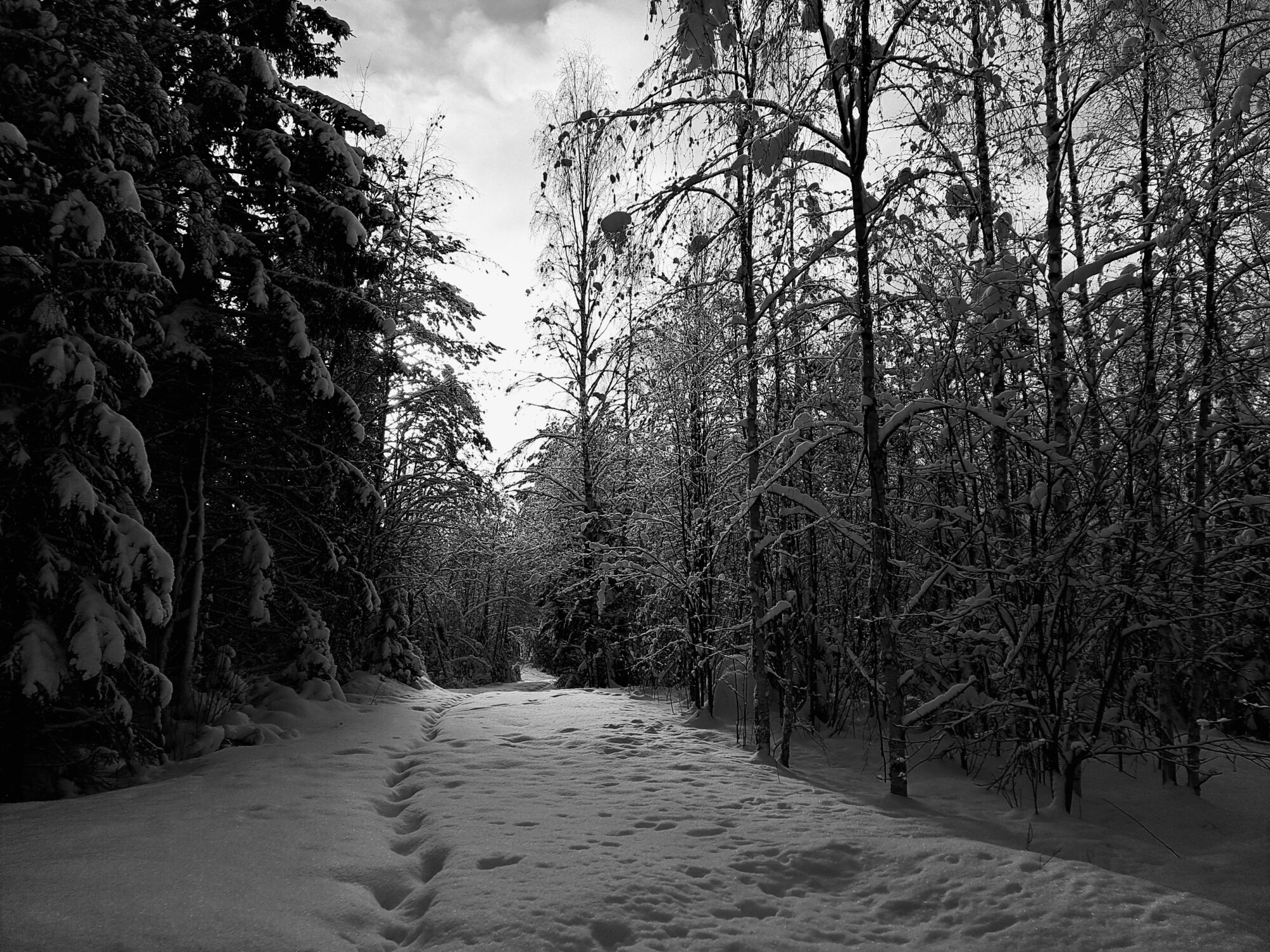 Valokuvaaja: Hannu Rissanen