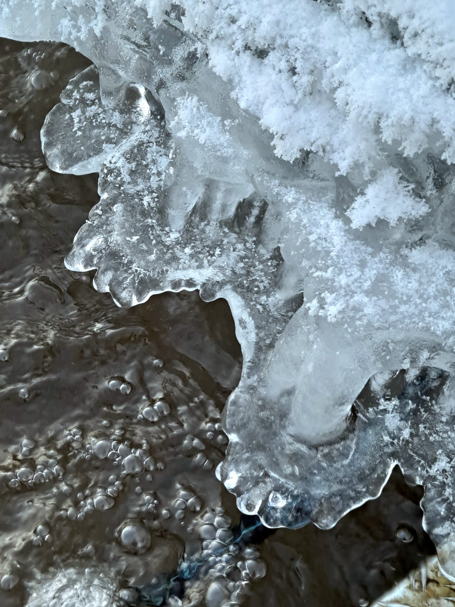 Valokuvaaja: Raisa Vuokola