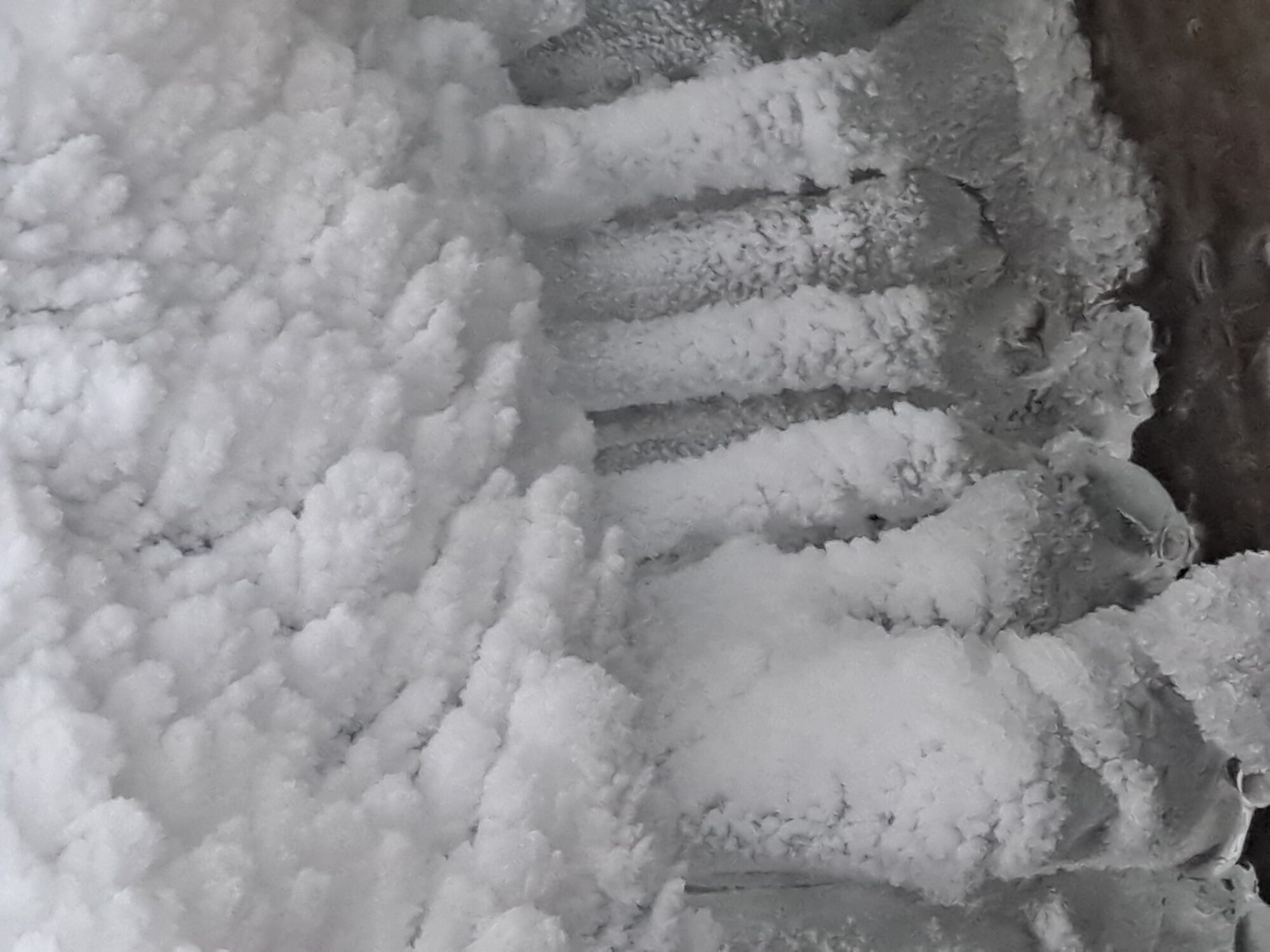 Valokuvaaja: Raisa Vuokola