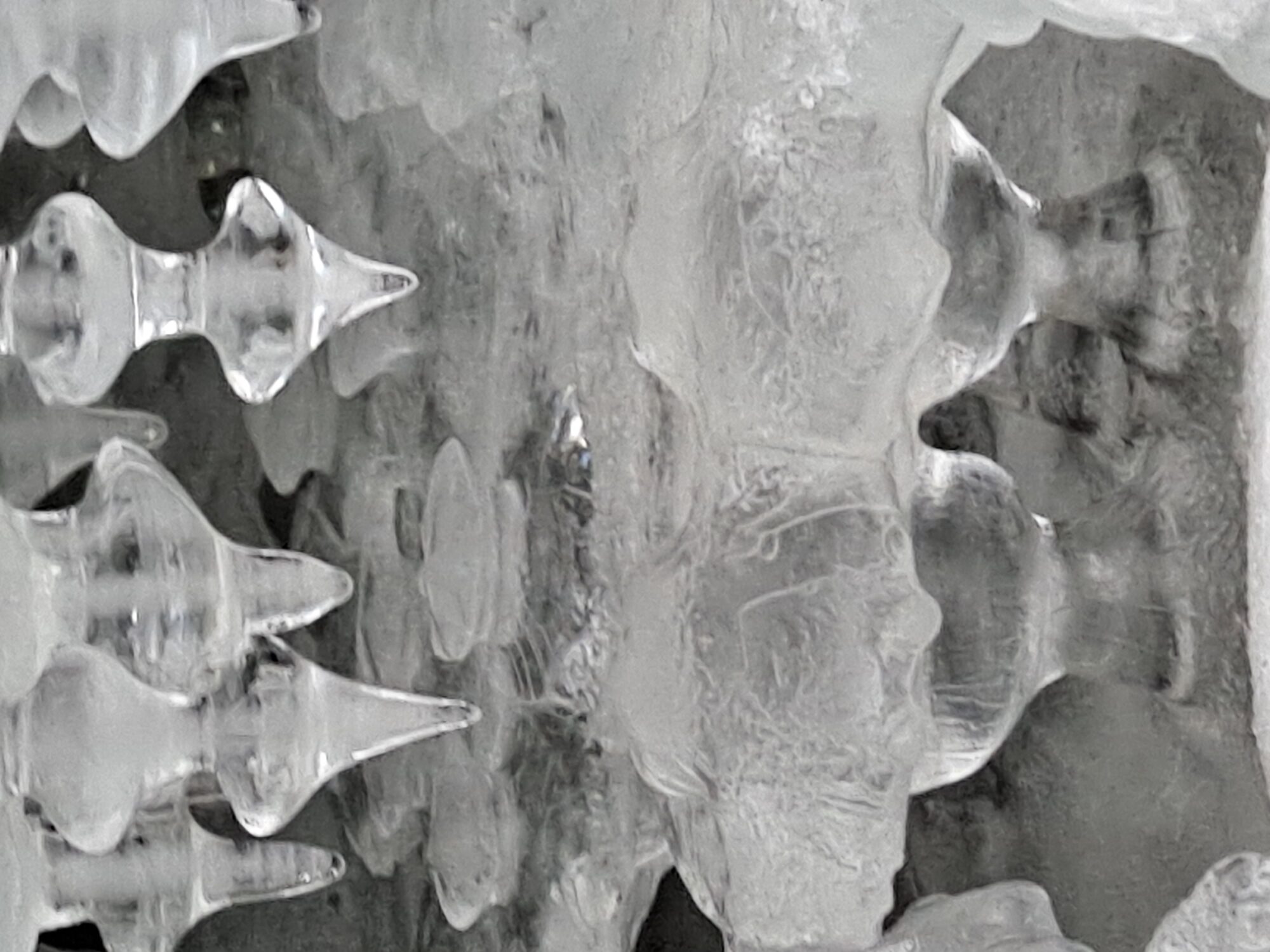 Valokuvaaja: Raisa Vuokola