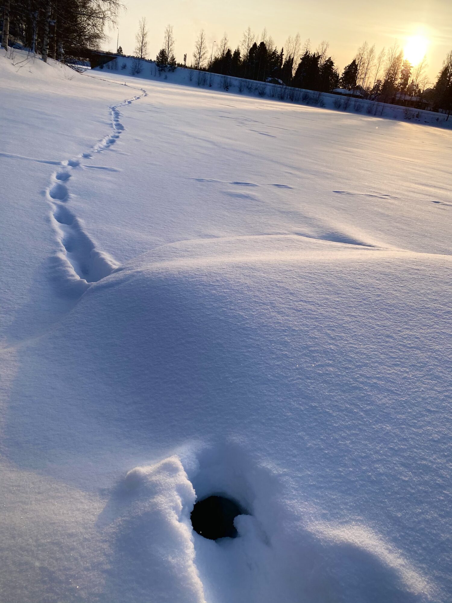 Valokuvaaja: Meri Phair