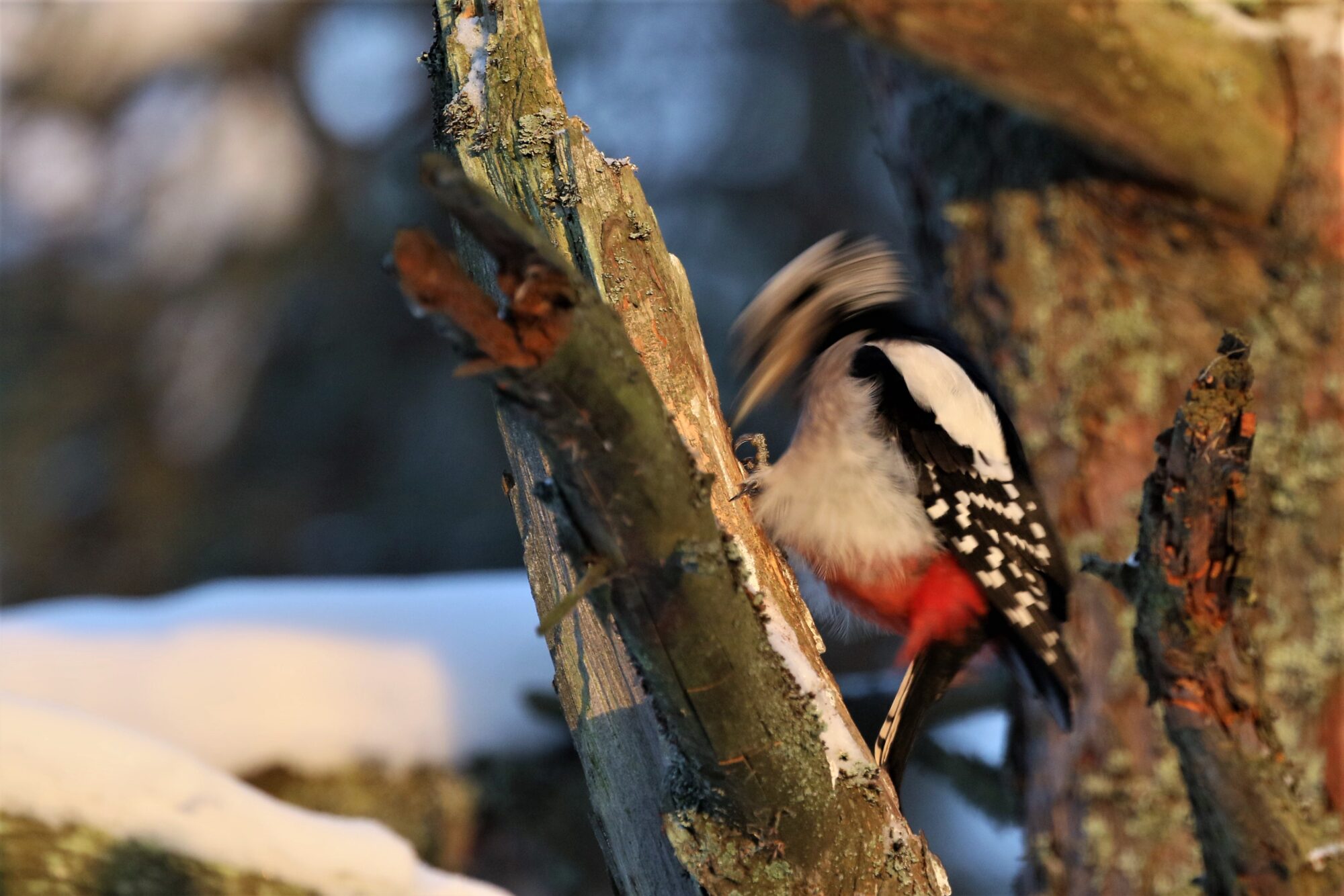 Valokuvaaja: Ari Karjalainen