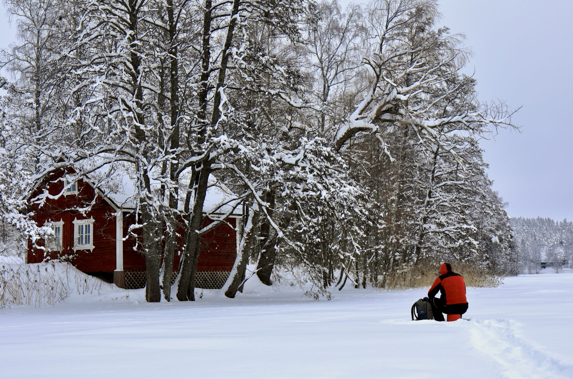 Valokuvaaja: Ari Branthin
