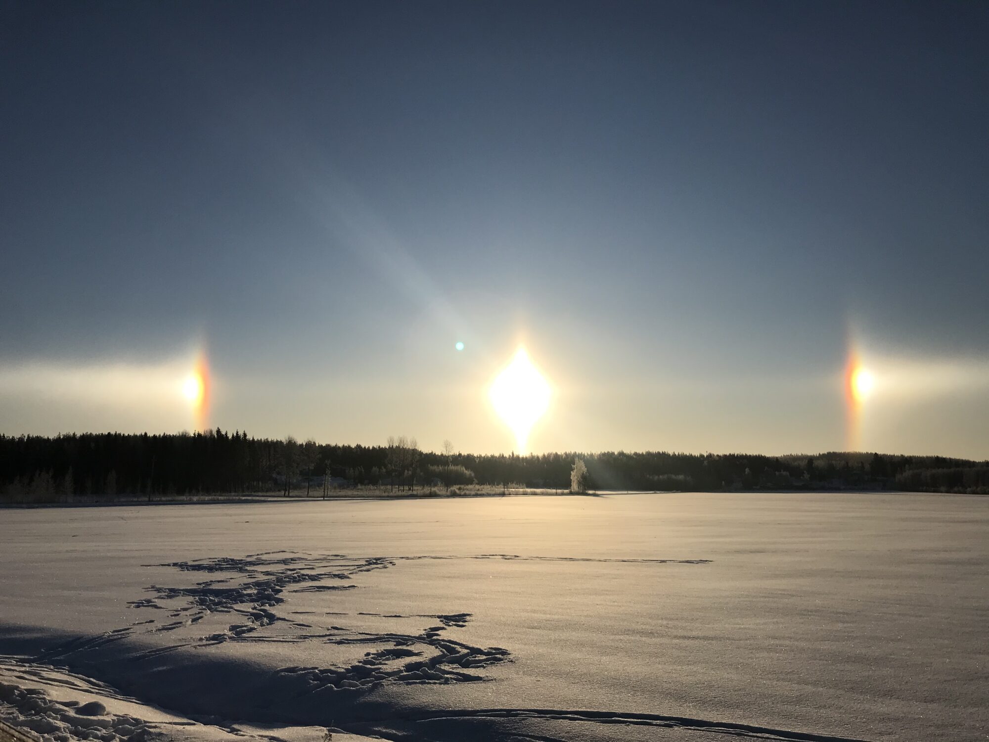 Valokuvaaja: Irja Ahtovirta