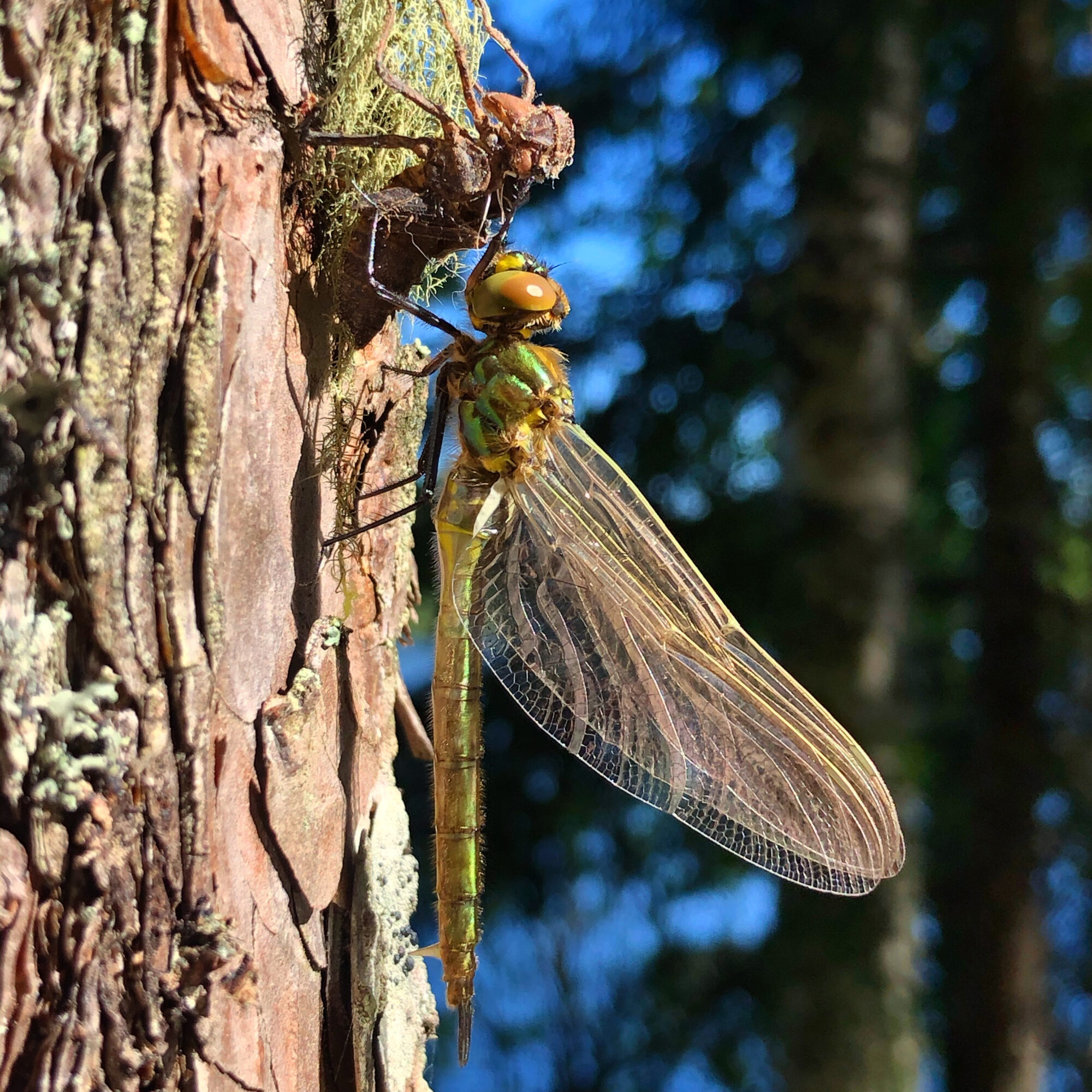 Valokuvaaja: Salla Rajala Valokuvaaja: Salla Rajala