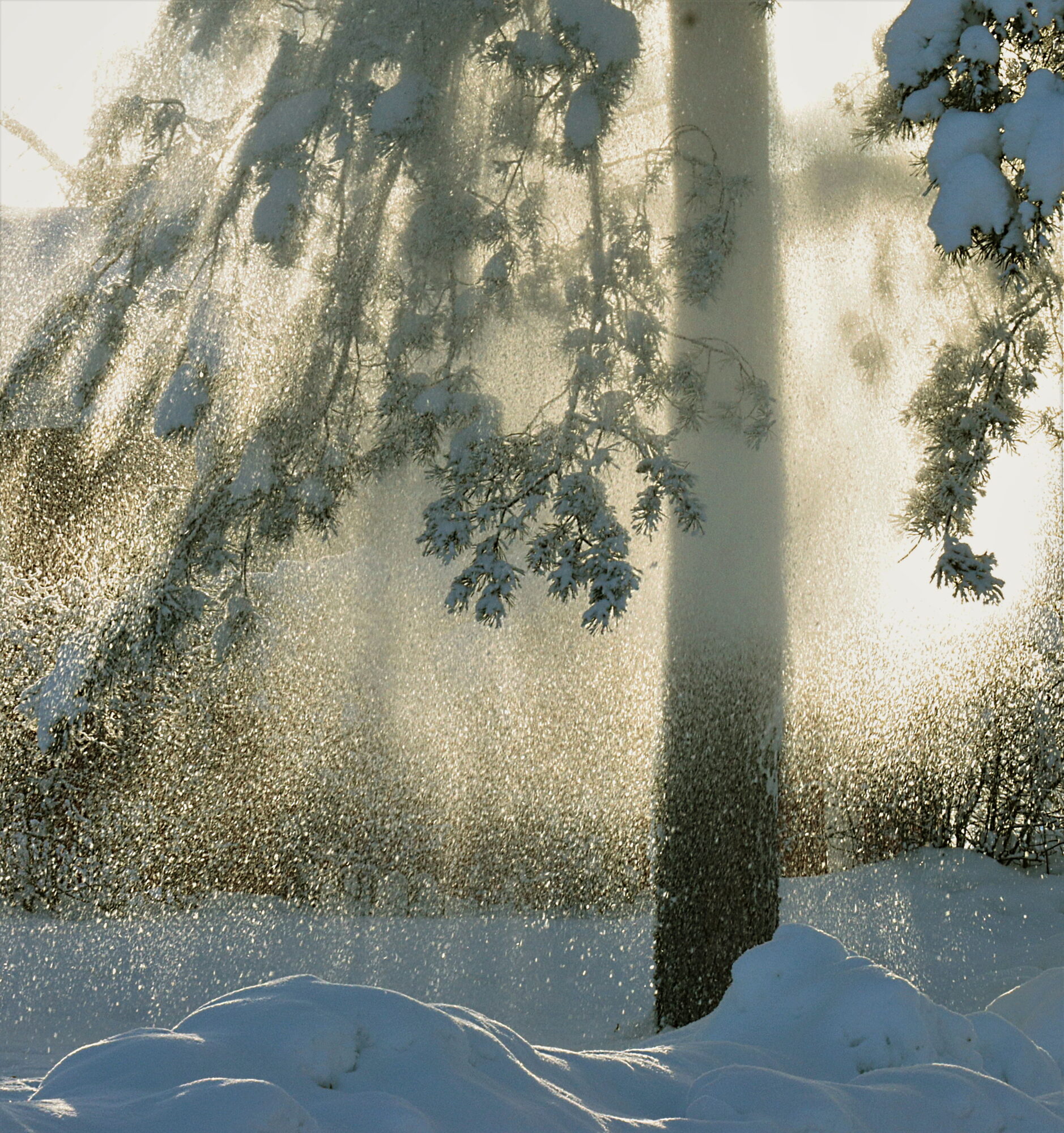 Valokuvaaja: Ritva Nieminen