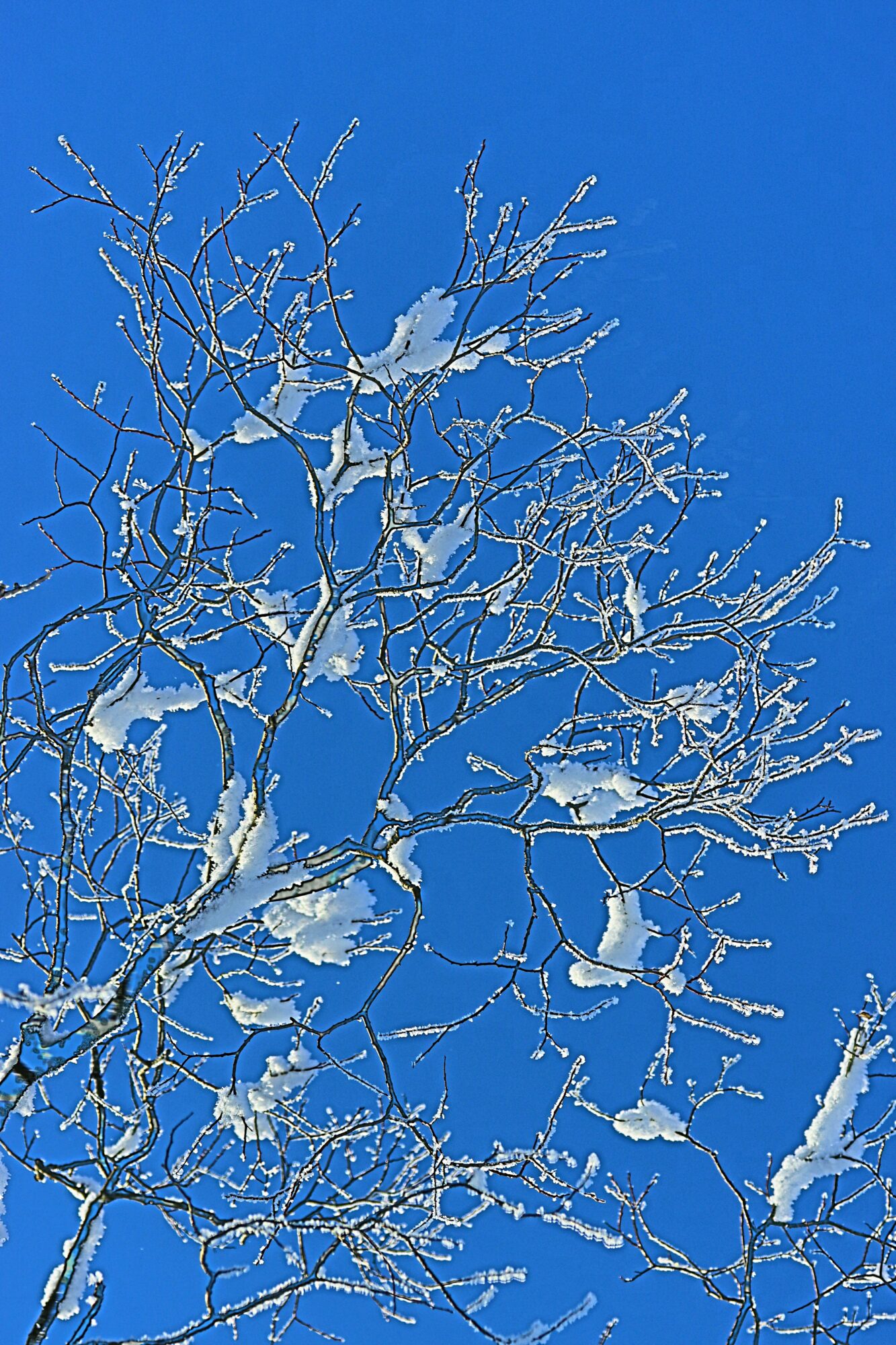 Valokuvaaja: Ritva Nieminen Valokuvaaja: Ritva Nieminen