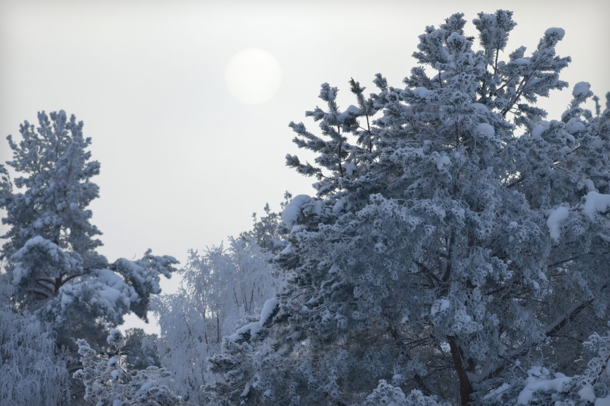 Valokuvaaja: Kaarlo Asikainen