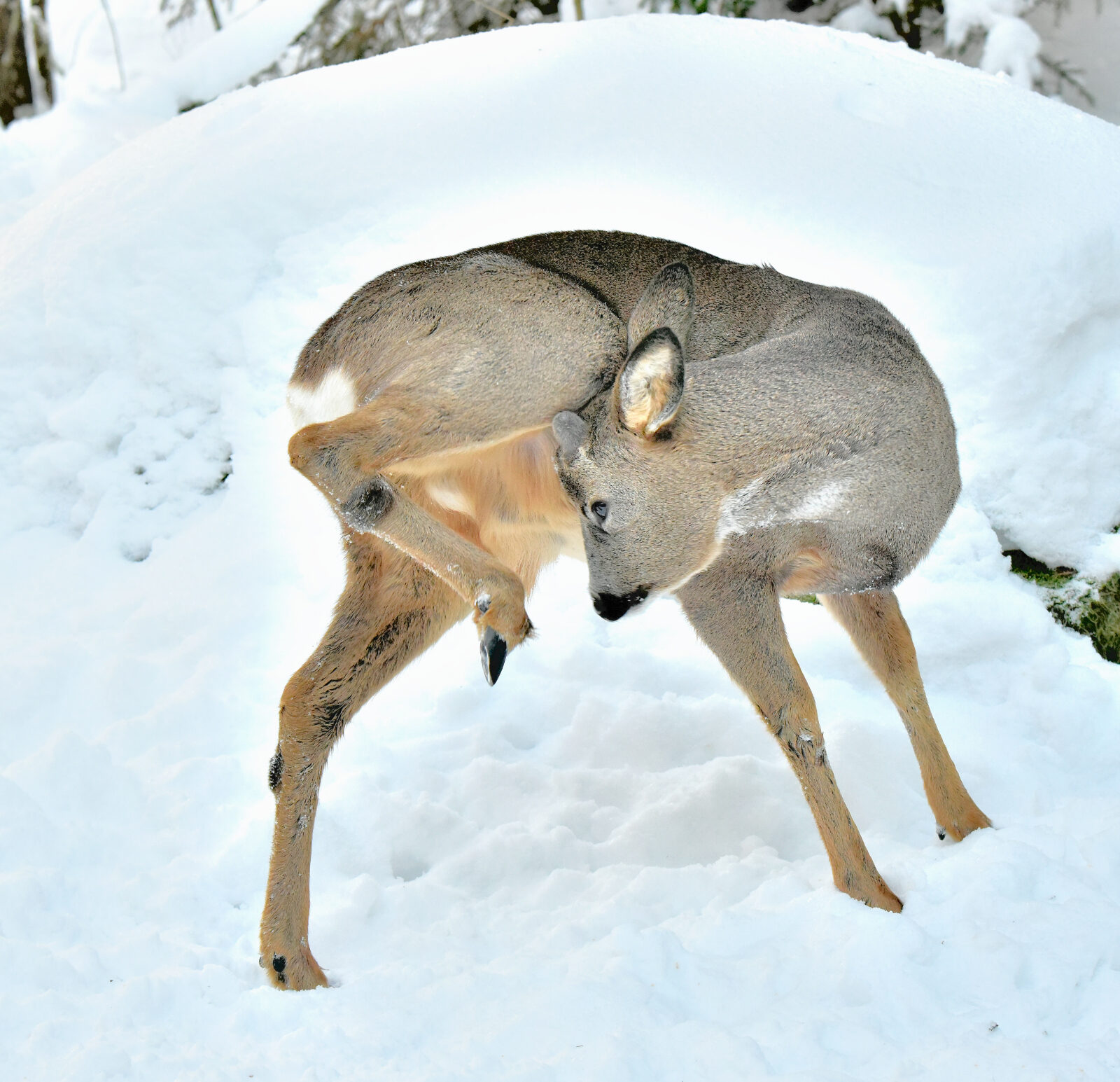 Valokuvaaja: Reijo Juurinen
