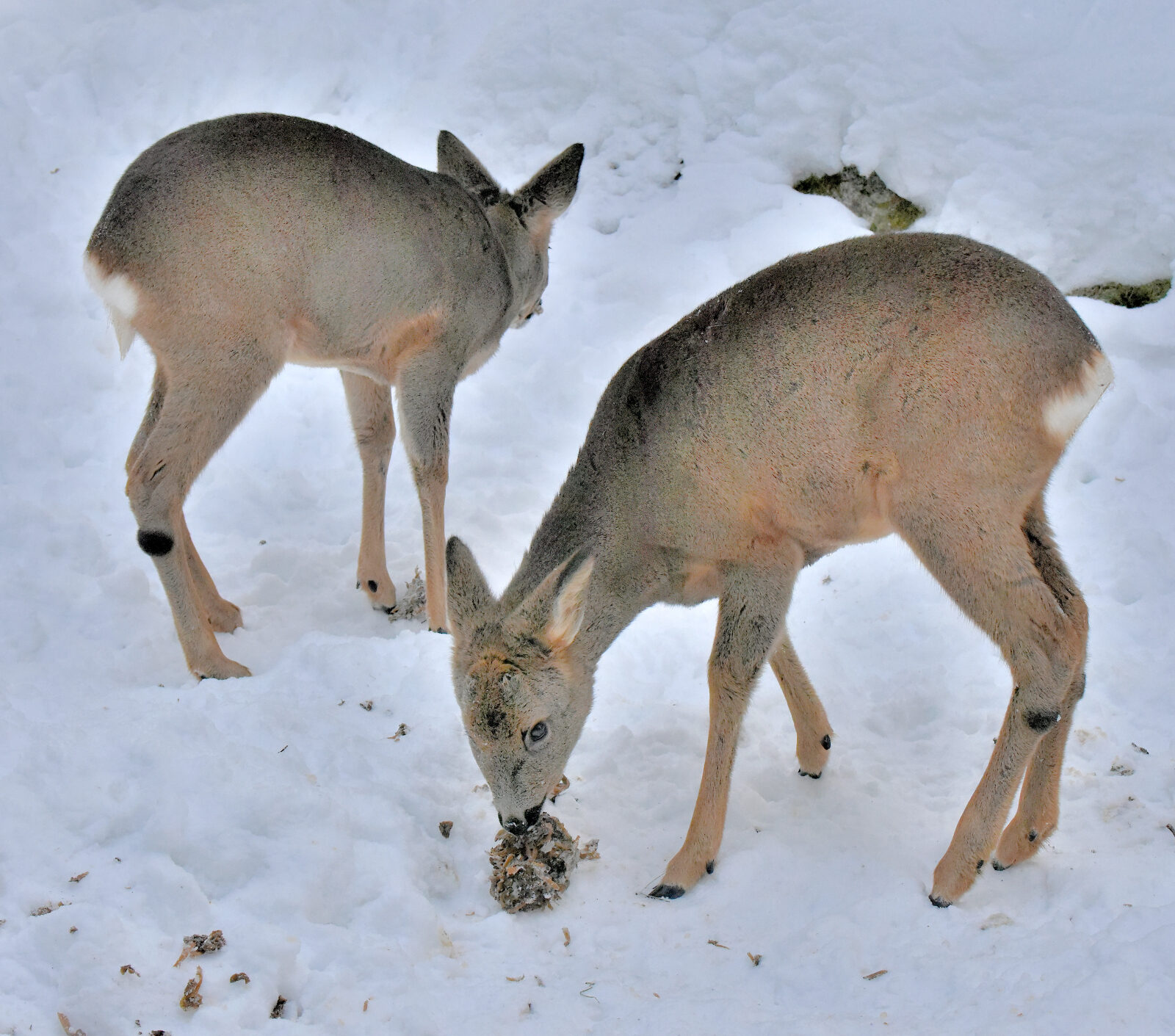 Valokuvaaja: Reijo Juurinen