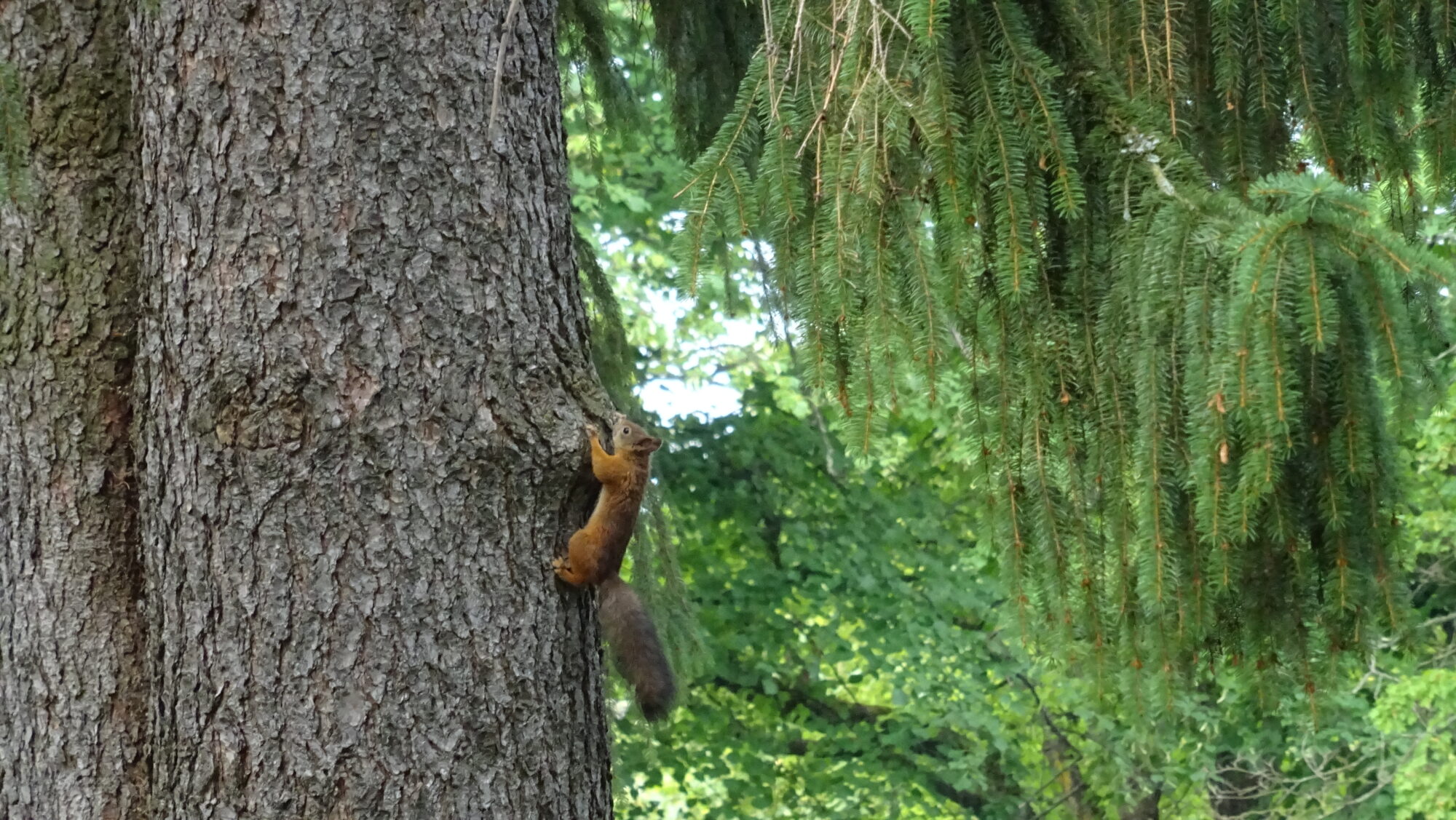 Valokuvaaja: Katja Ketola