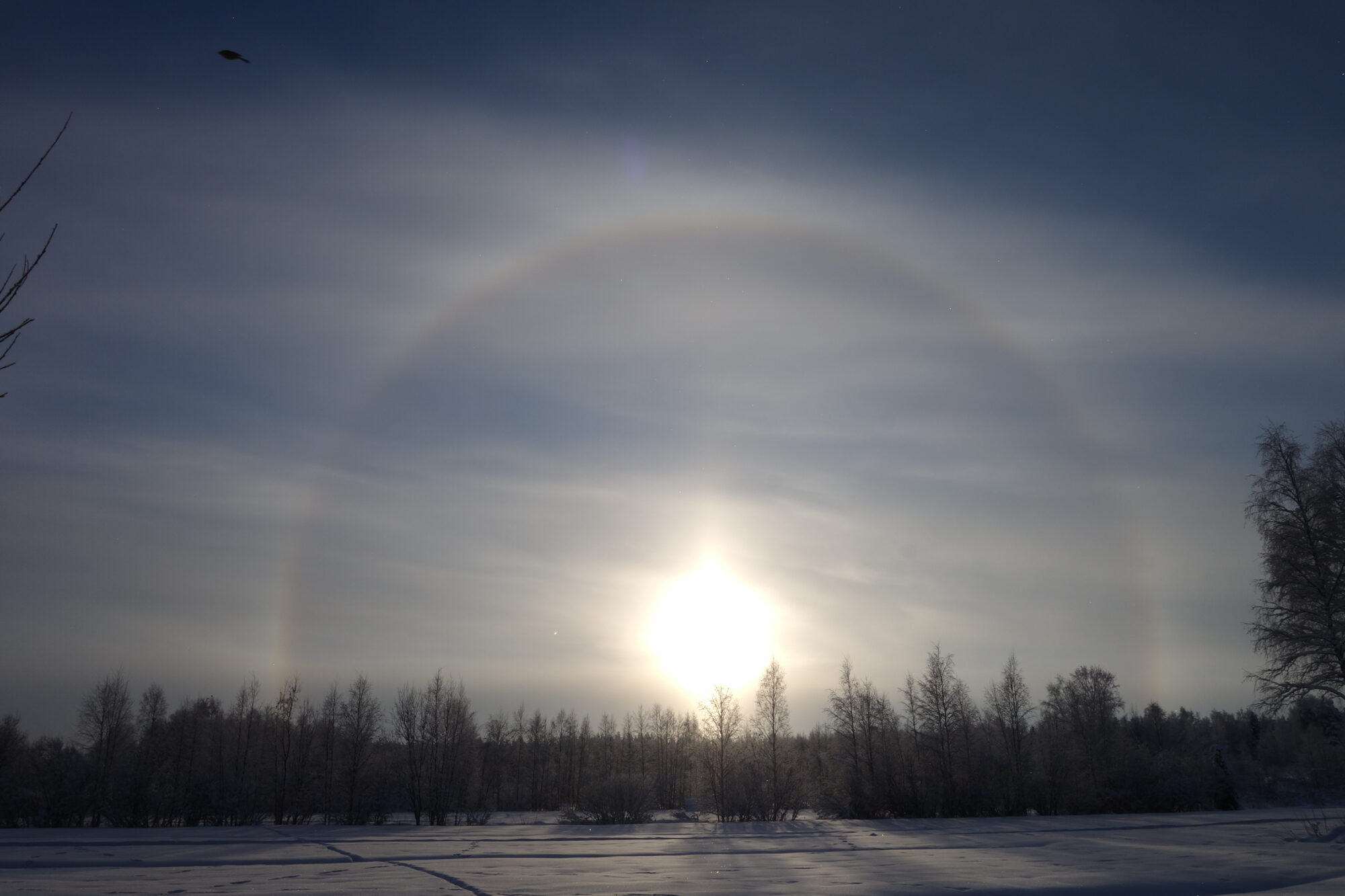 Valokuvaaja: Kaarina Heiskanen