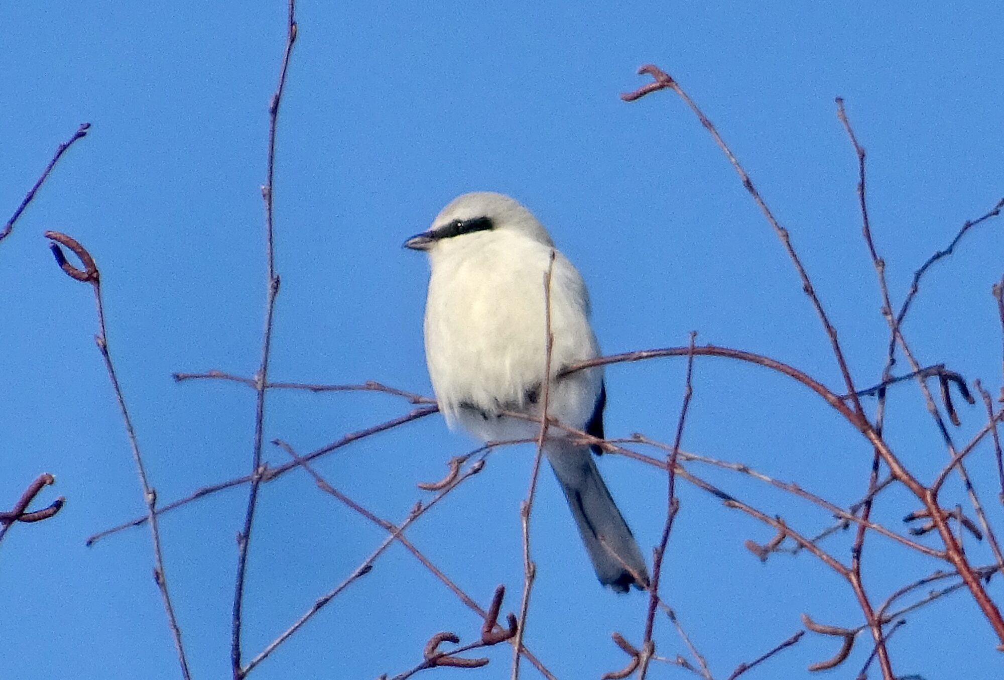 Valokuvaaja: Liisa Niiva-Korpela