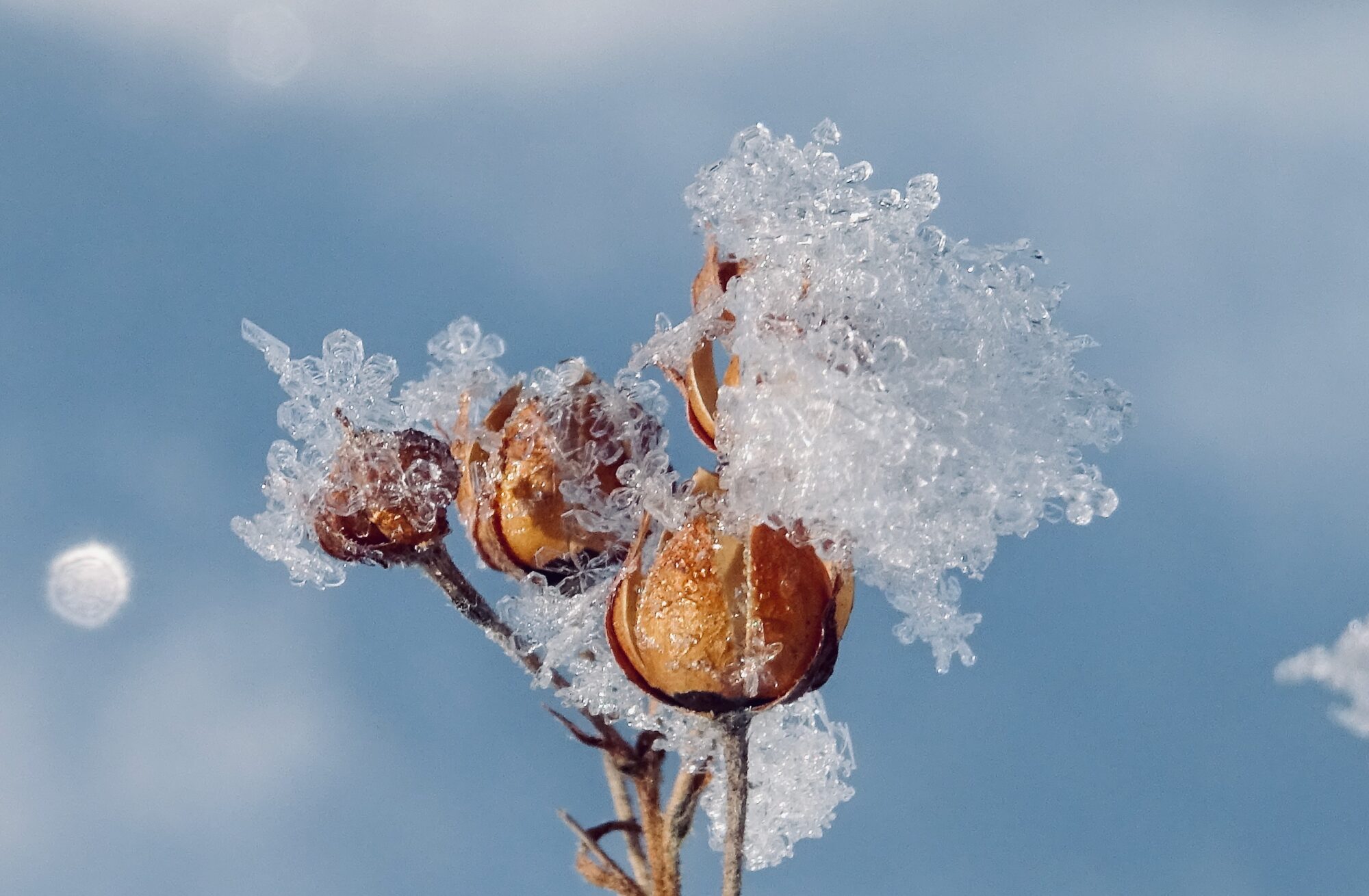 Valokuvaaja: Liisa Niiva-Korpela