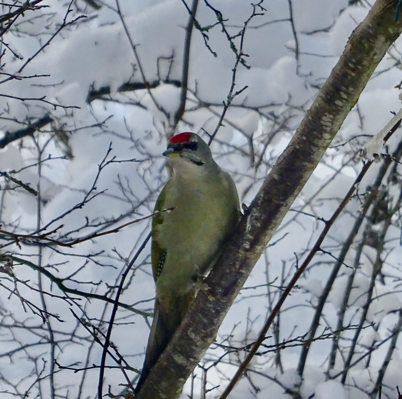 Valokuvaaja: Liisa Niiva-Korpela