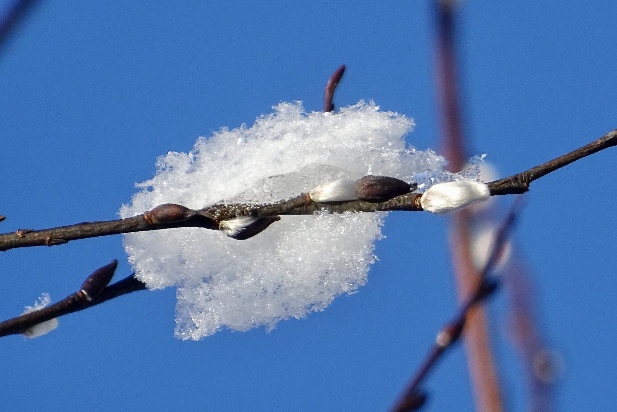 Valokuvaaja: Liisa Niiva-Korpela