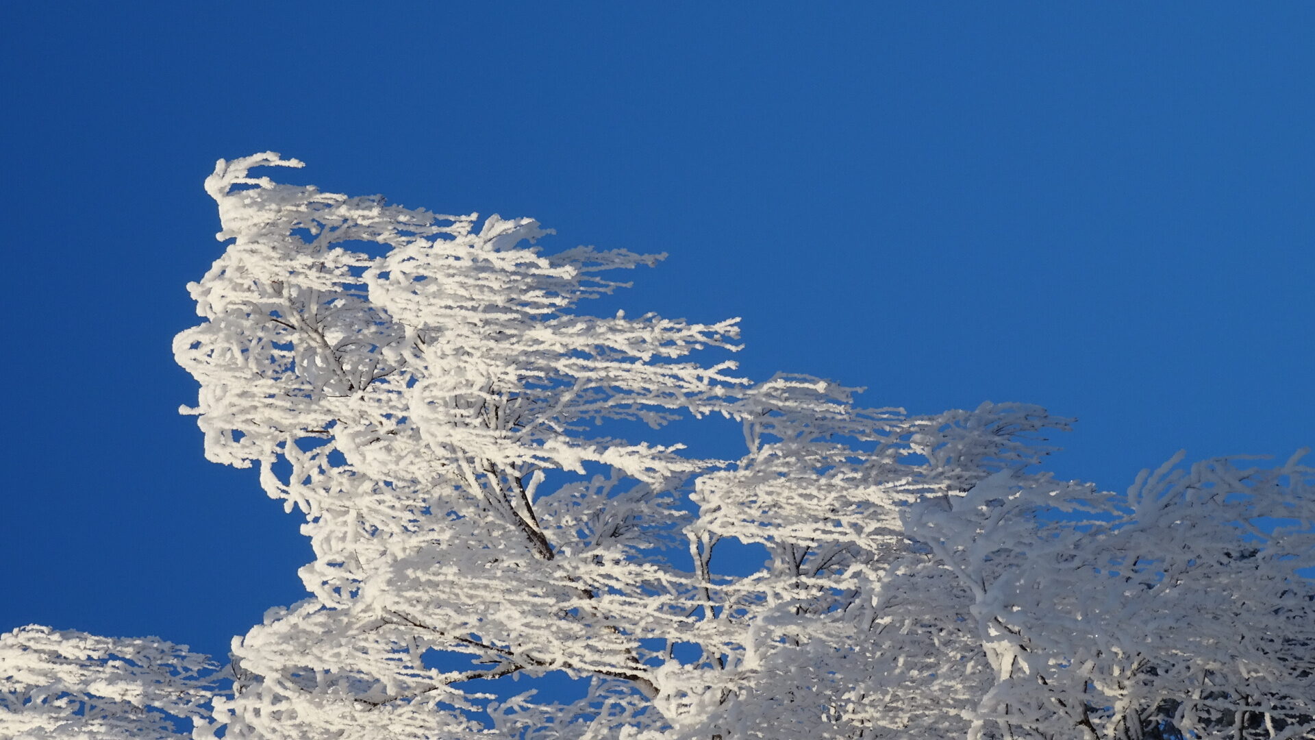 Valokuvaaja: Katja Ketola