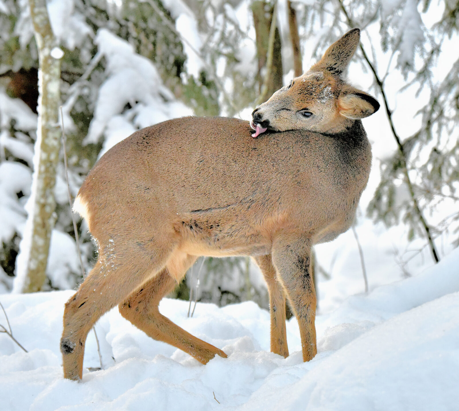 Valokuvaaja: Reijo Juurinen