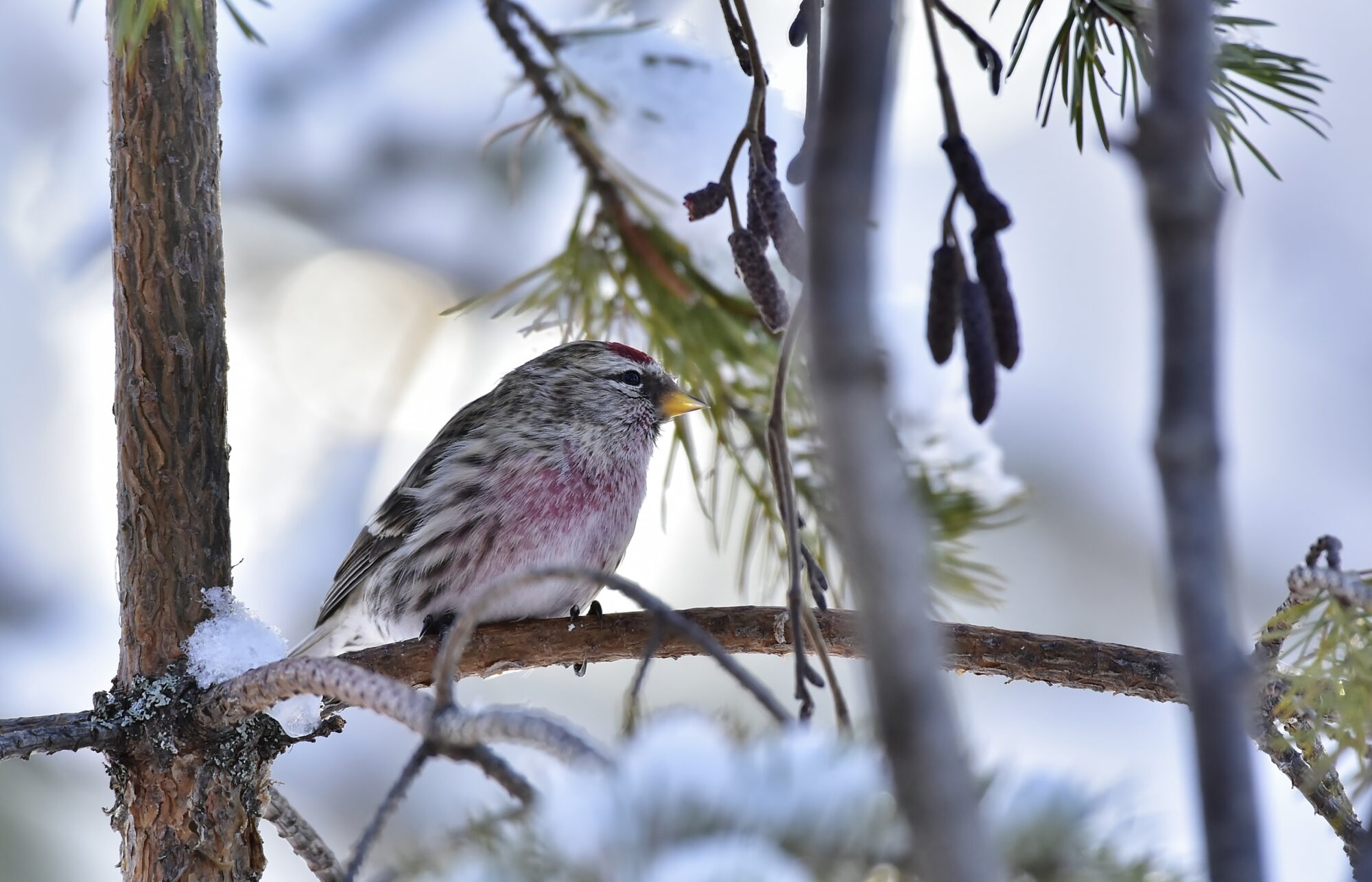 Valokuvaaja: Markku Pelkonen