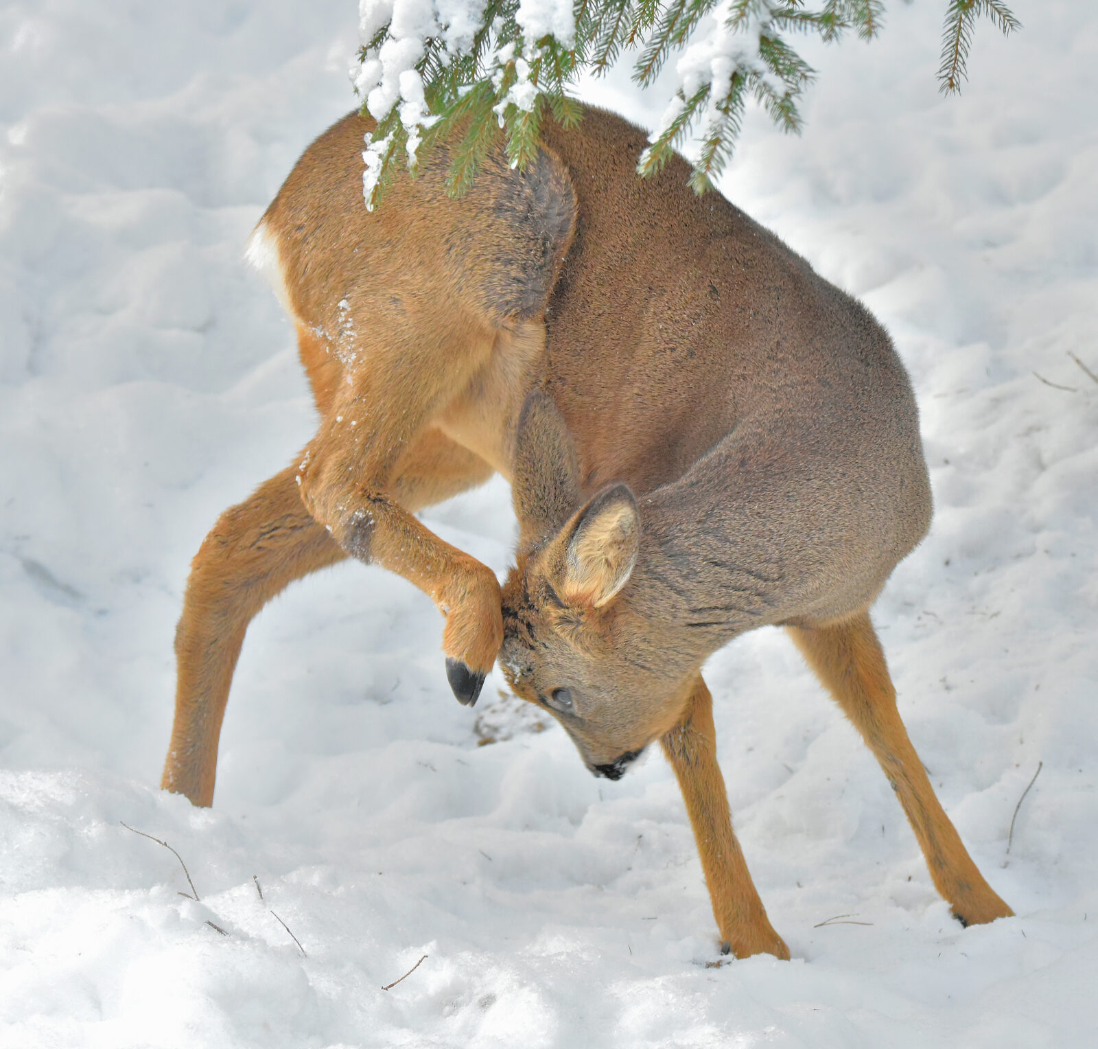 Valokuvaaja: Reijo Juurinen