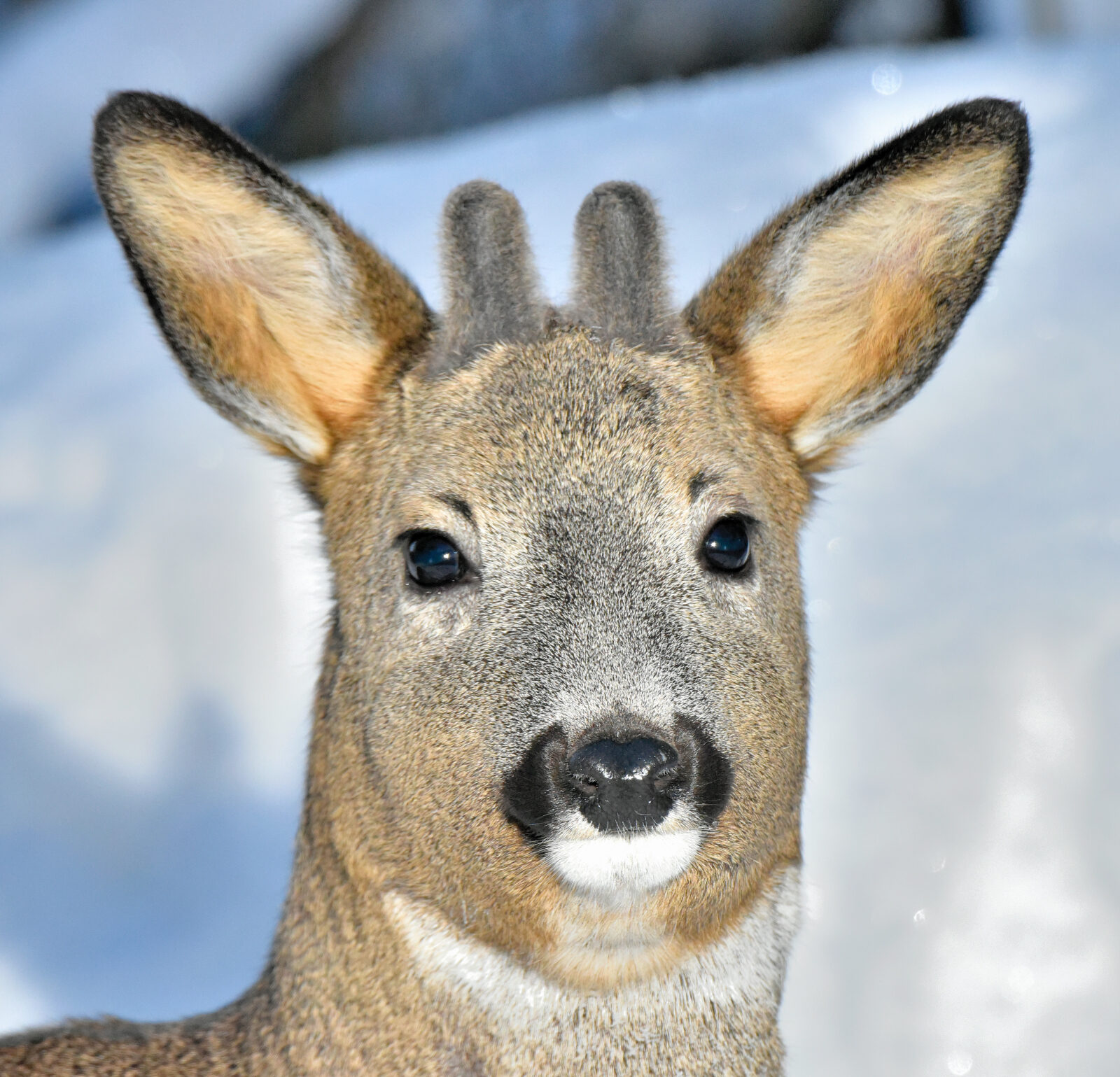 Valokuvaaja: Reijo Juurinen