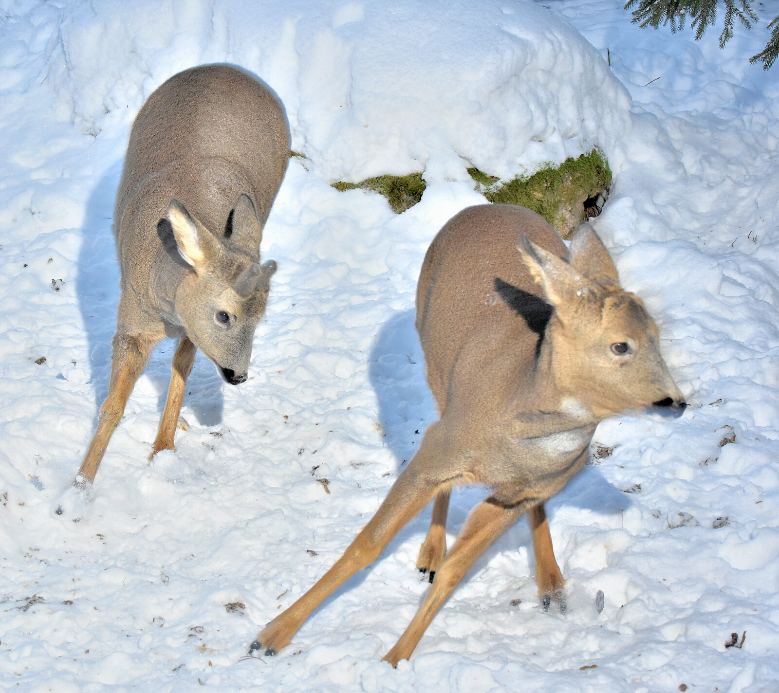 Valokuvaaja: Reijo Juurinen