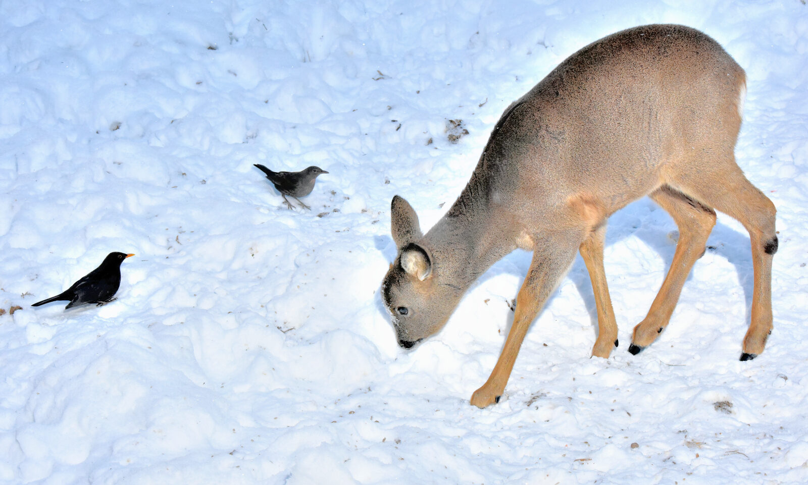 Valokuvaaja: Reijo Juurinen