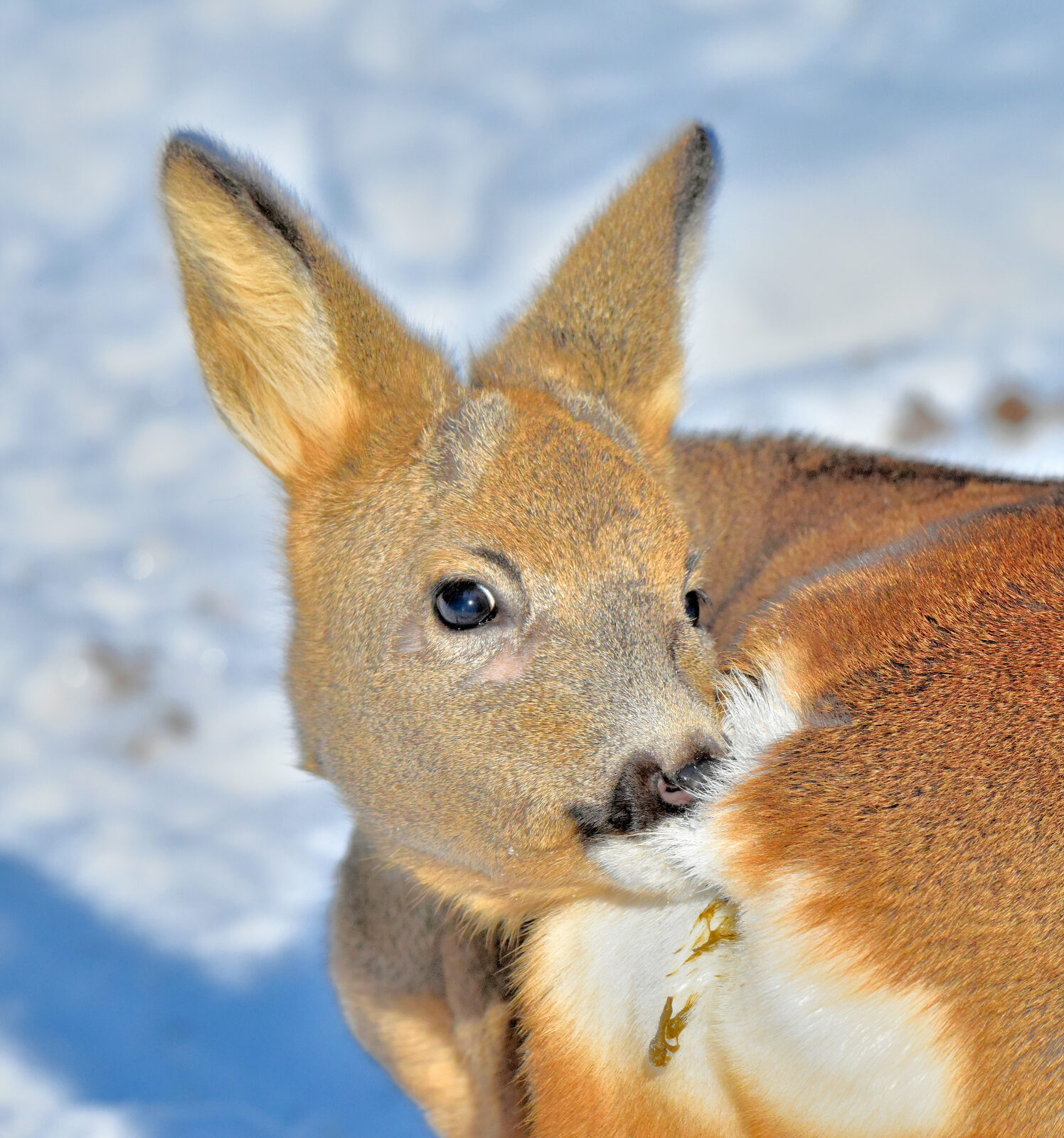 Valokuvaaja: Reijo Juurinen