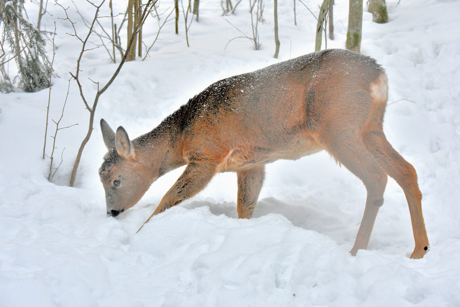 Valokuvaaja: Reijo Juurinen