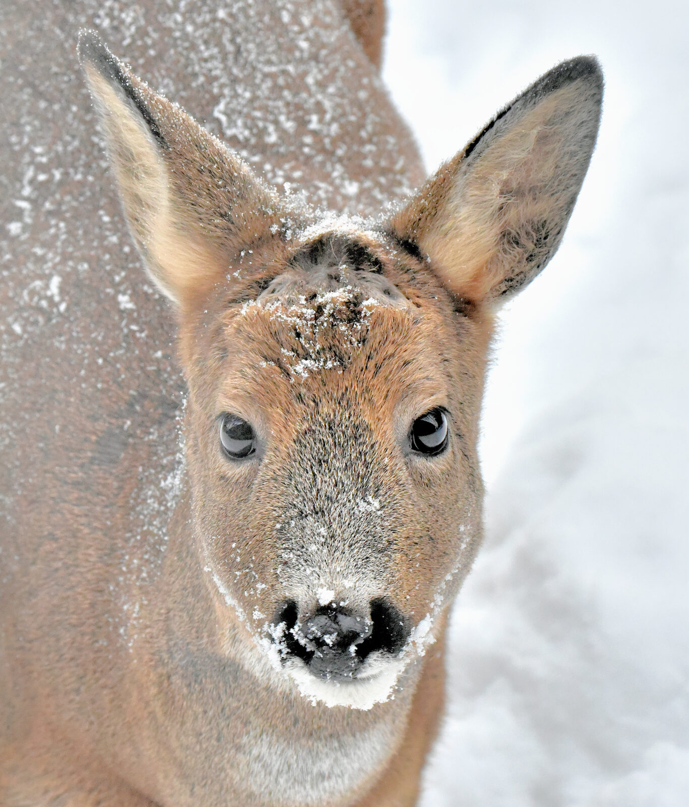 Valokuvaaja: Reijo Juurinen