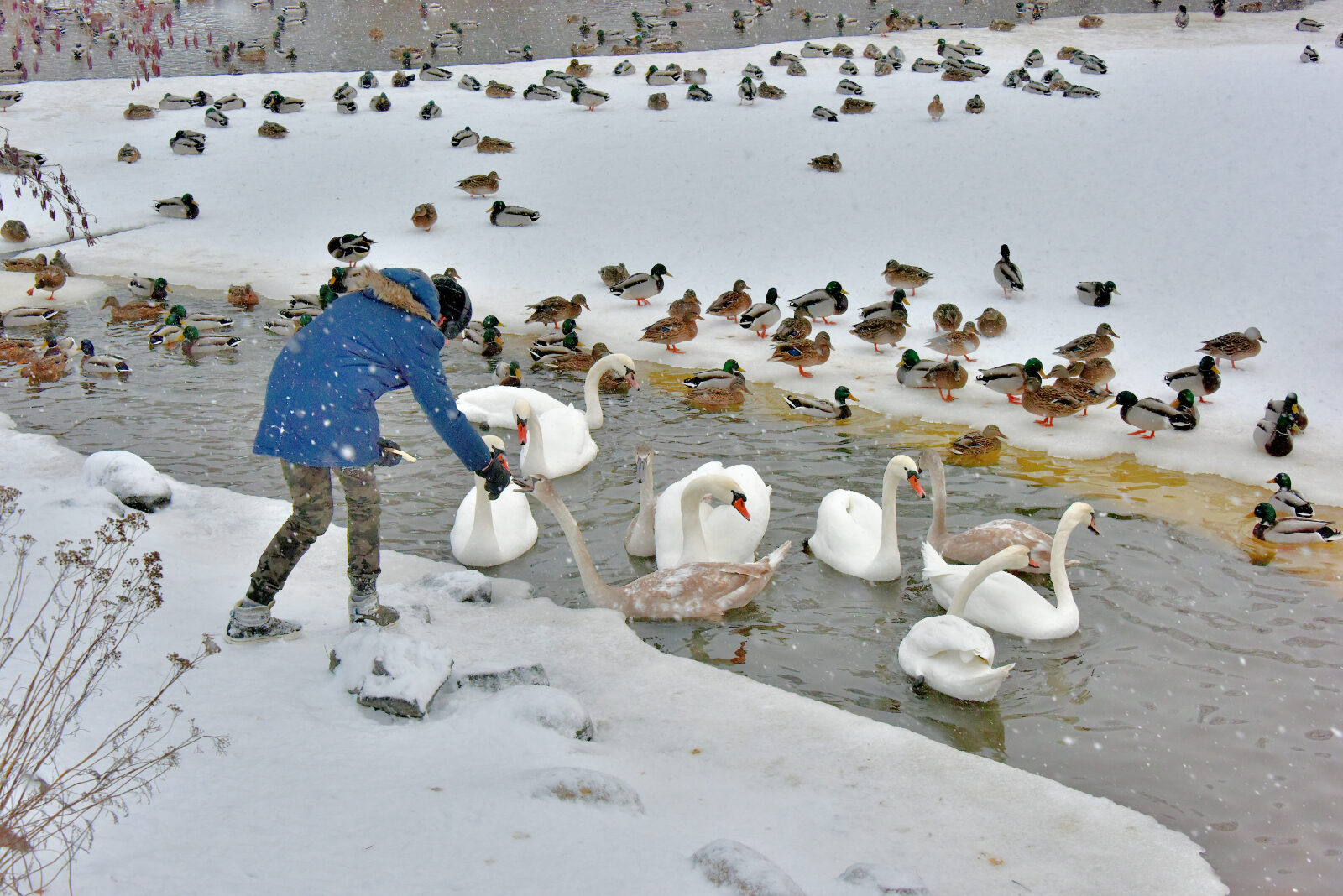 Valokuvaaja: Reijo Juurinen