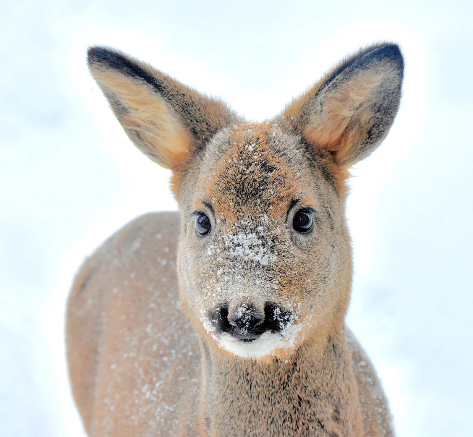 Valokuvaaja: Reijo Juurinen