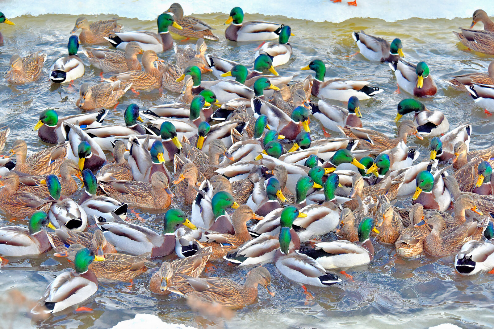 Valokuvaaja: Reijo Juurinen