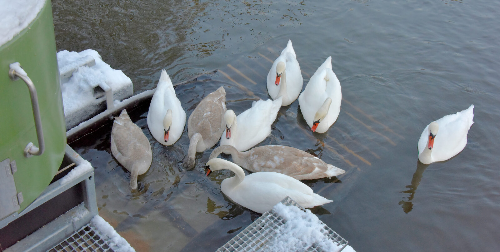 Valokuvaaja: Reijo Juurinen