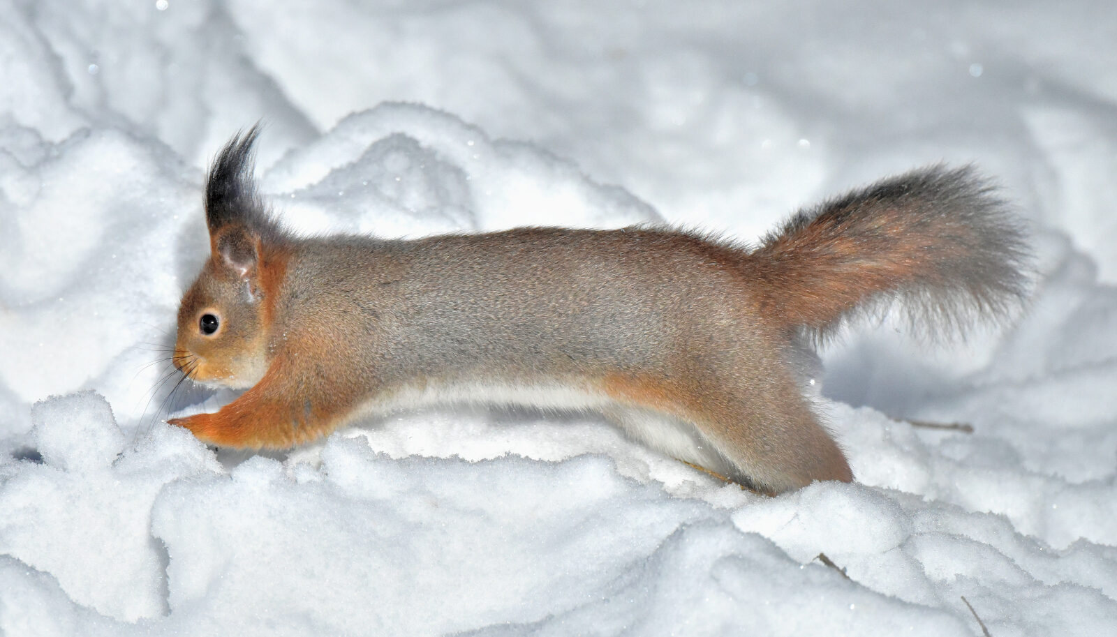 Valokuvaaja: Reijo Juurinen