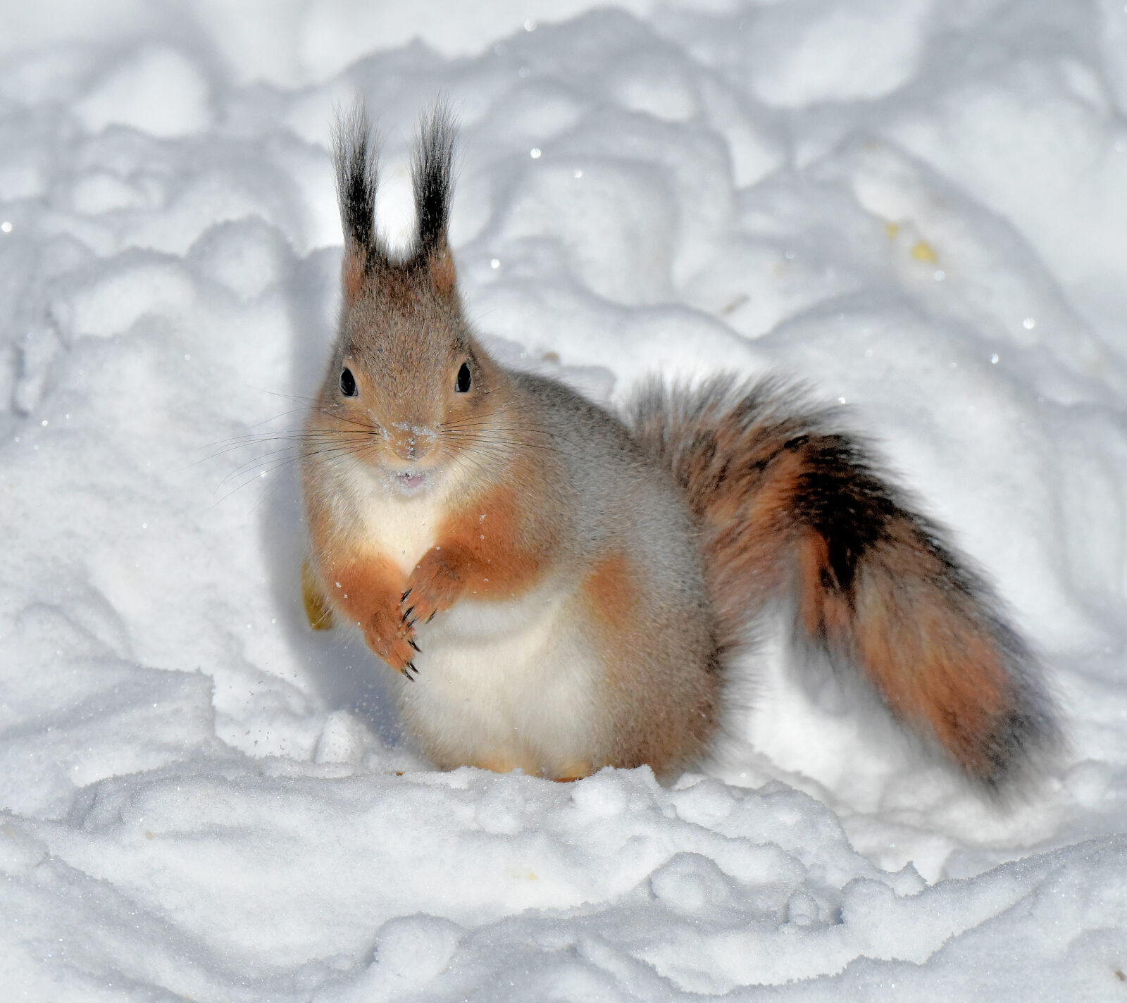 Valokuvaaja: Reijo Juurinen