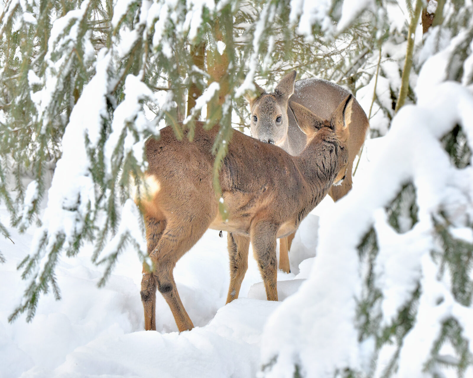 Valokuvaaja: Reijo Juurinen Valokuvaaja: Reijo Juurinen