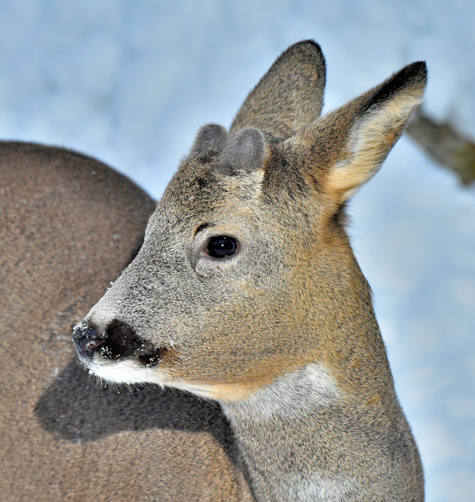 Valokuvaaja: Reijo Juurinen