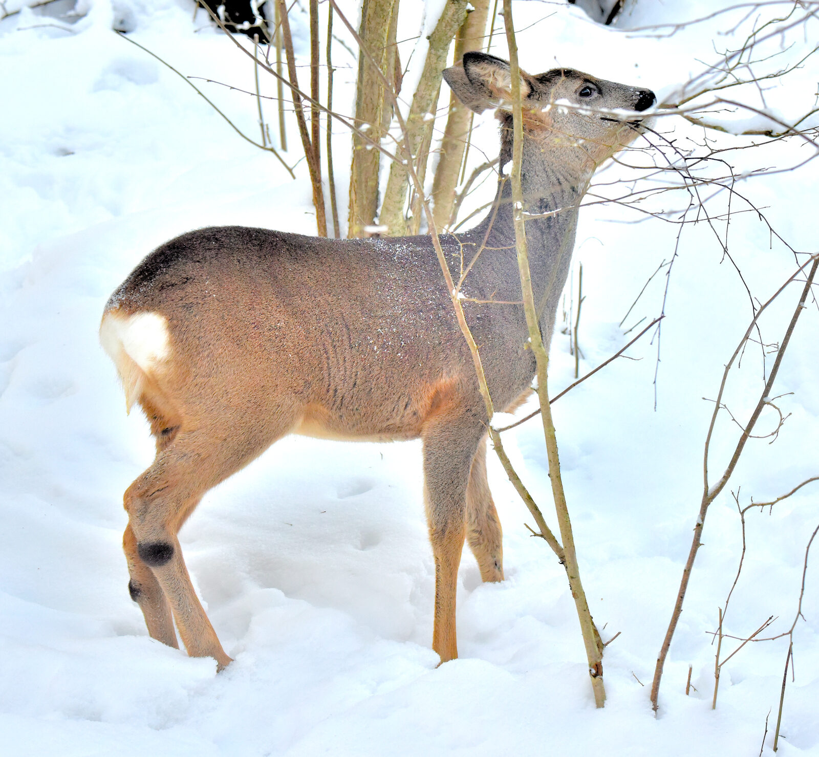 Valokuvaaja: Reijo Juurinen Valokuvaaja: Reijo Juurinen