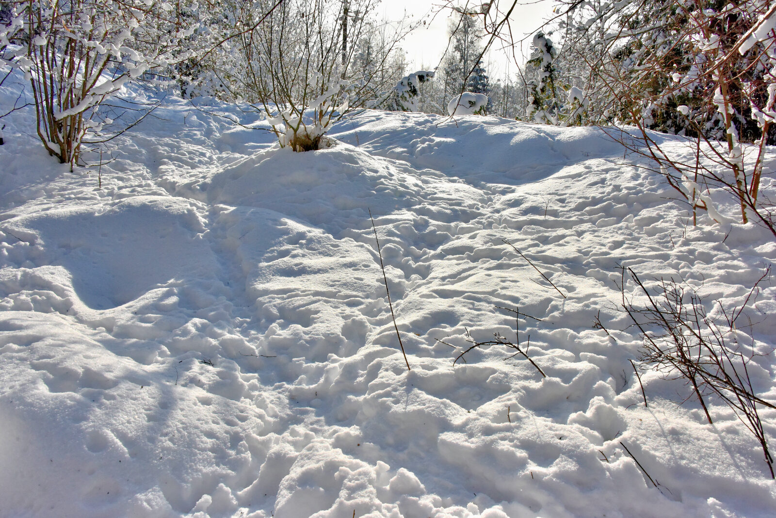 Valokuvaaja: Reijo Juurinen