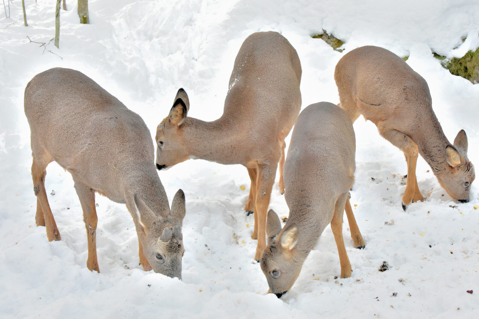 Valokuvaaja: Reijo Juurinen
