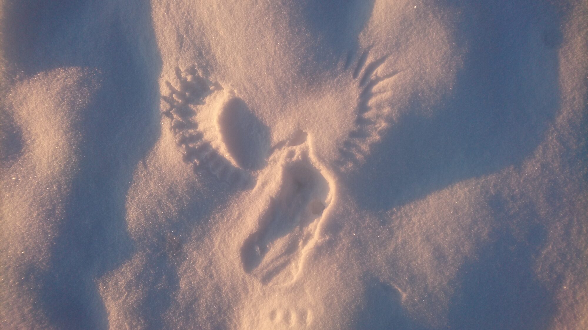 Valokuvaaja: Mikko Lehto