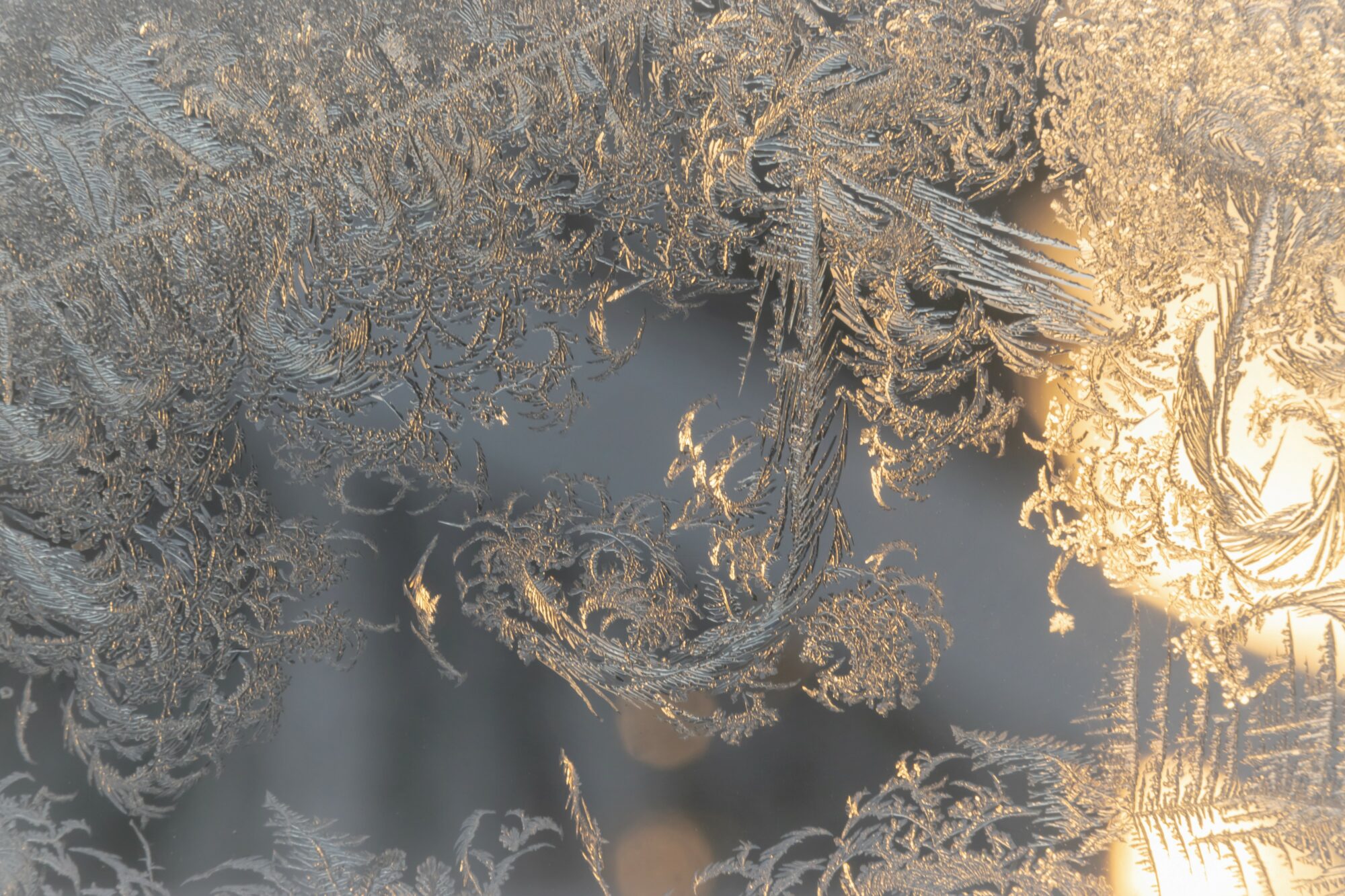 Valokuvaaja: Leena Rissanen