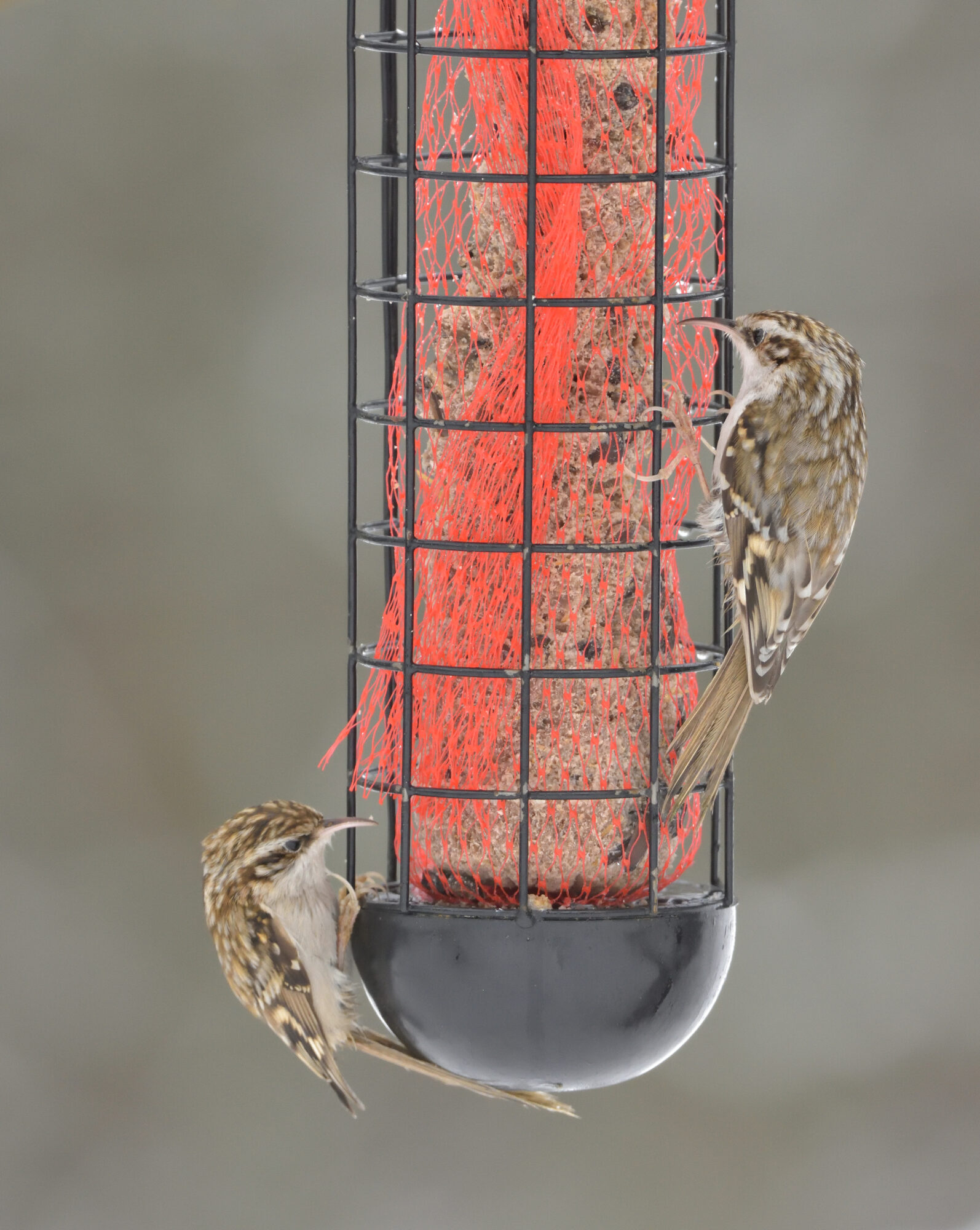 Valokuvaaja: Asko Heikkinen