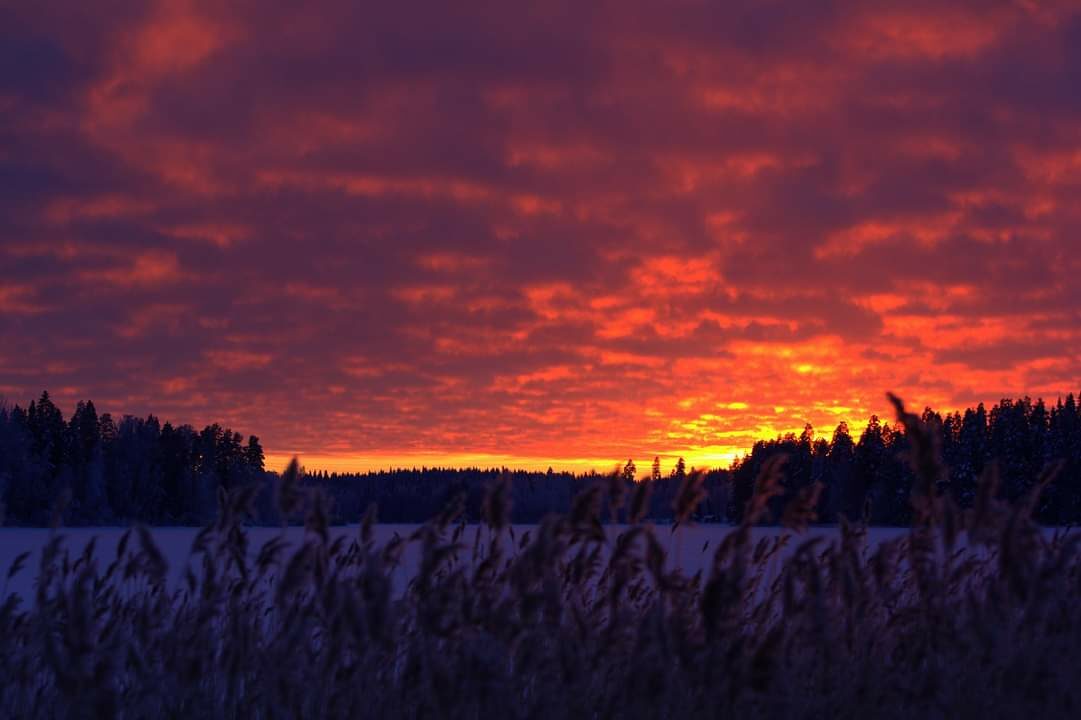 Valokuvaaja: Tapio Keinonen Valokuvaaja: Tapio Keinonen